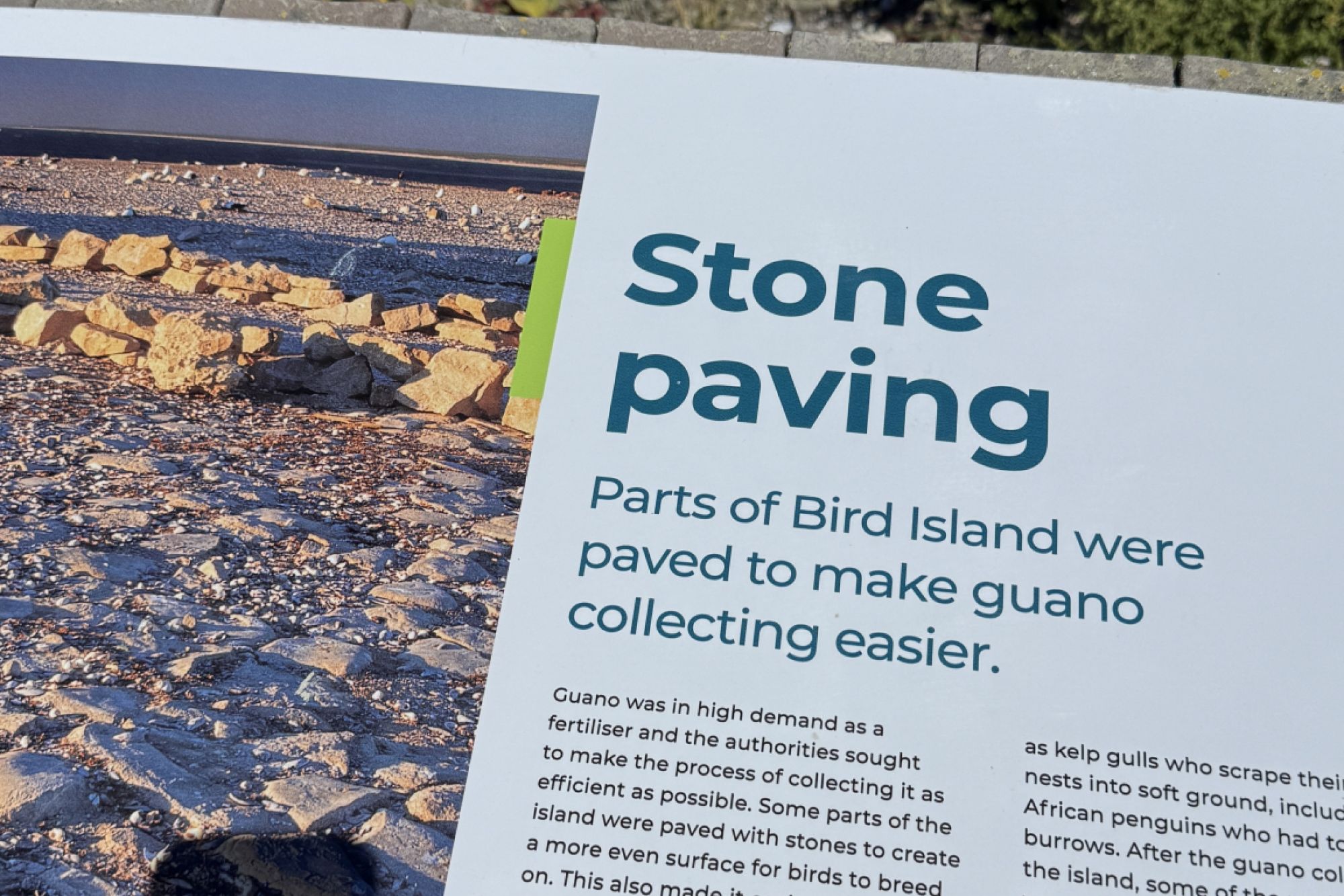 Image related to website content Image related to website content