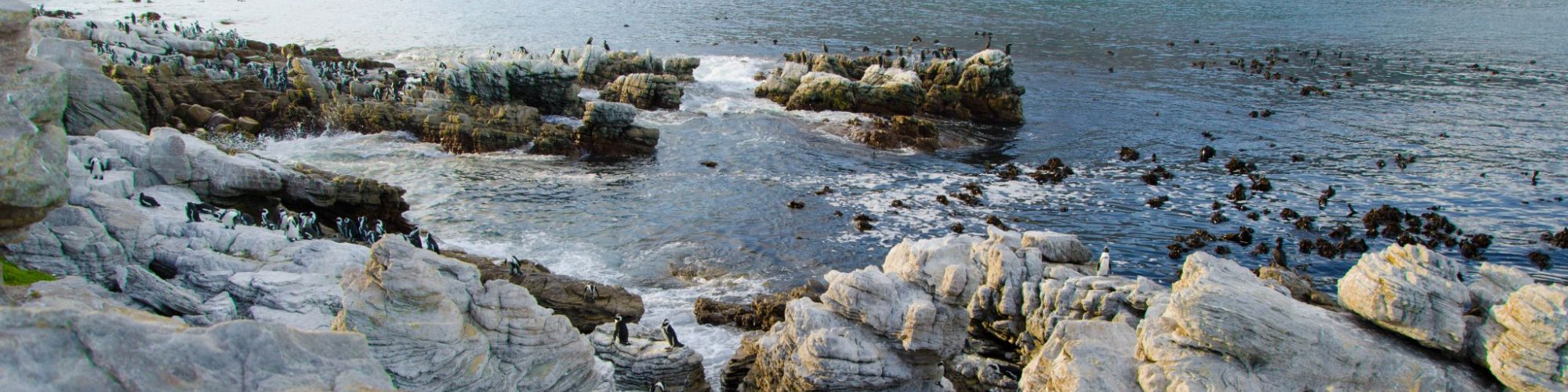 Stony Point 4 Stony Point 4