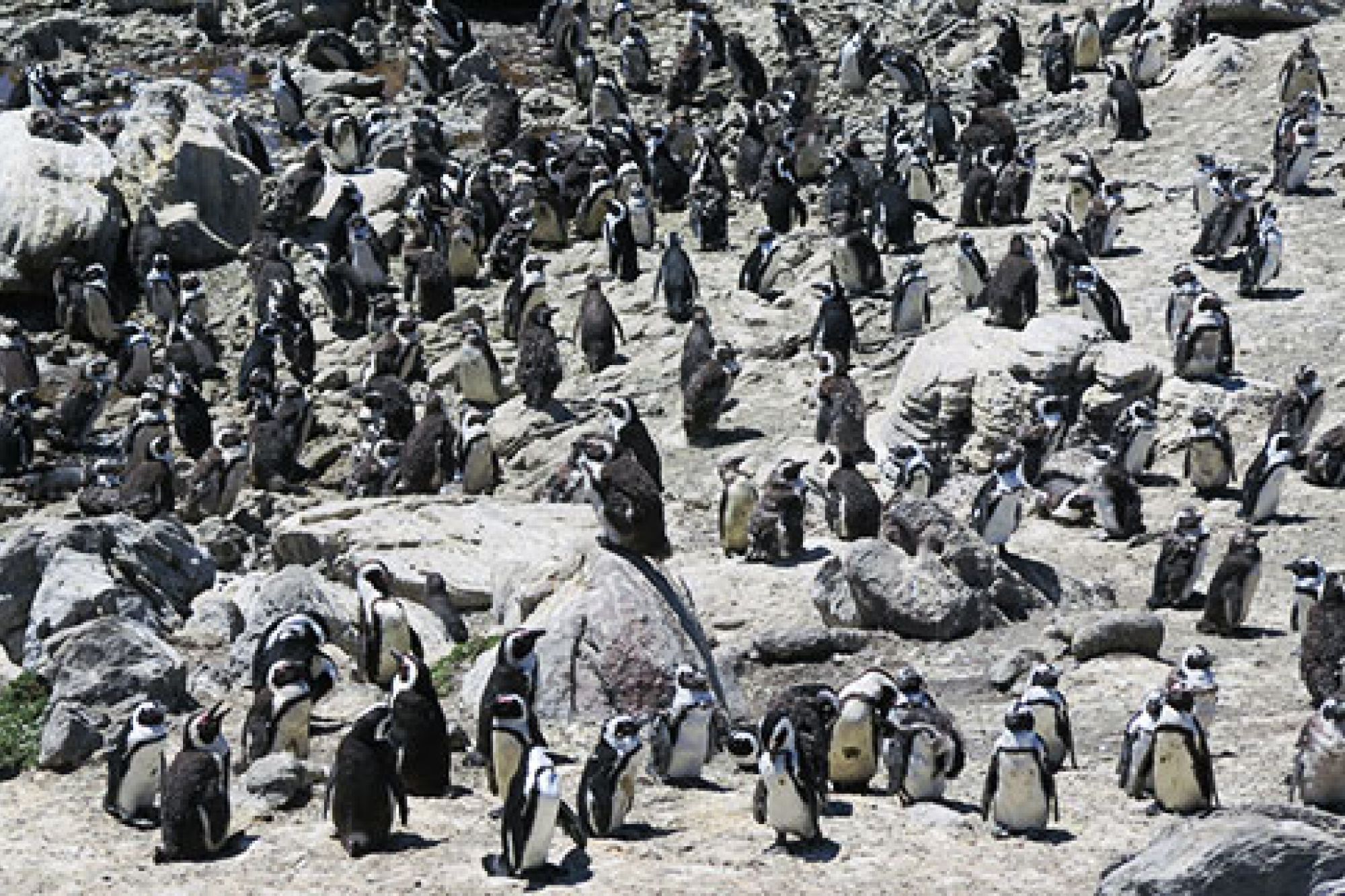 Image related to website content Image related to website content