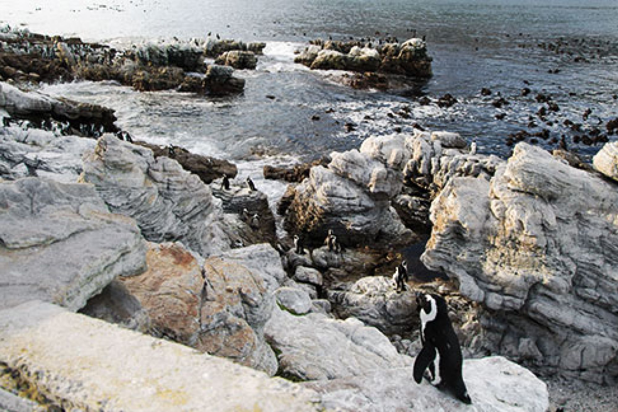 Image related to website content Image related to website content