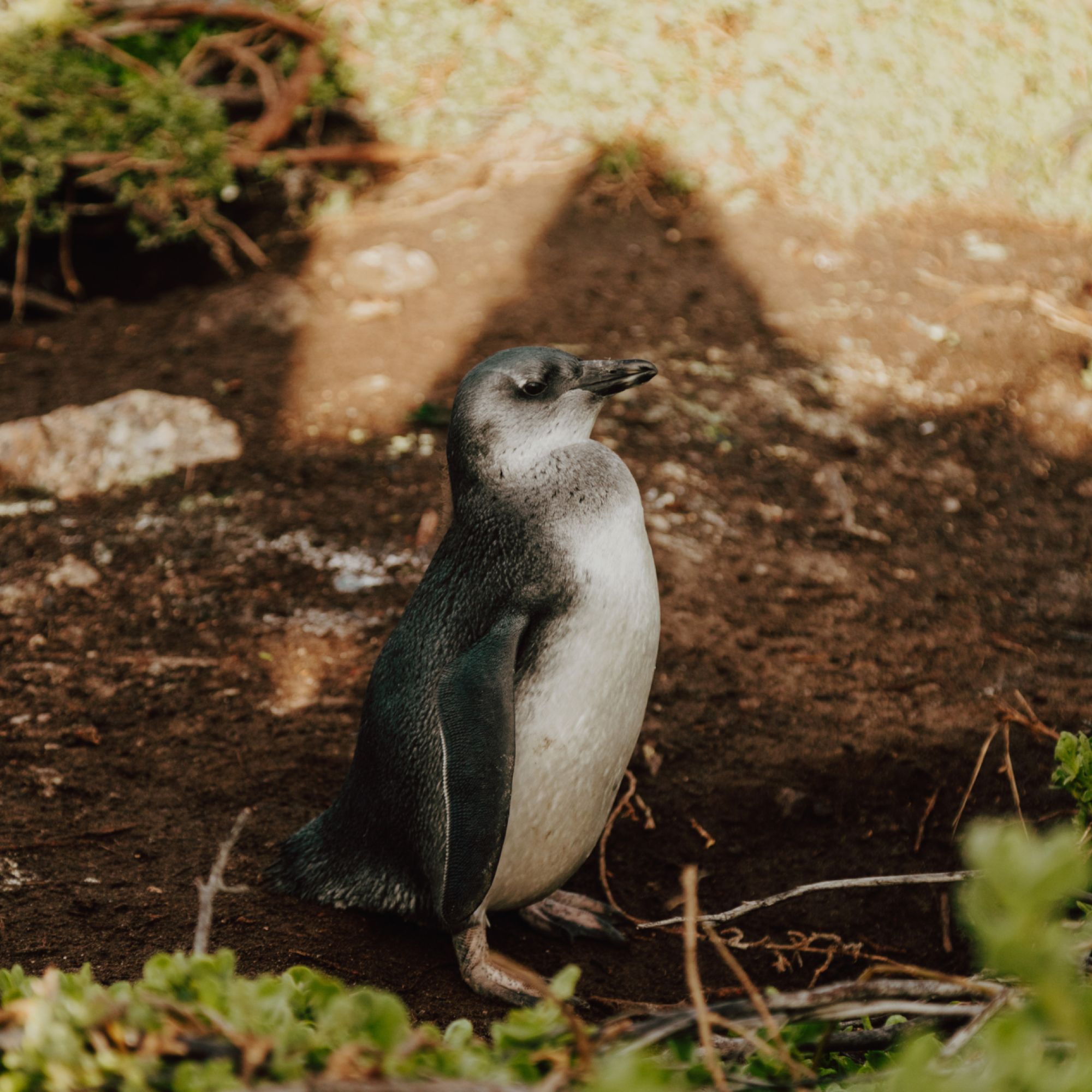 Image related to website content Image related to website content