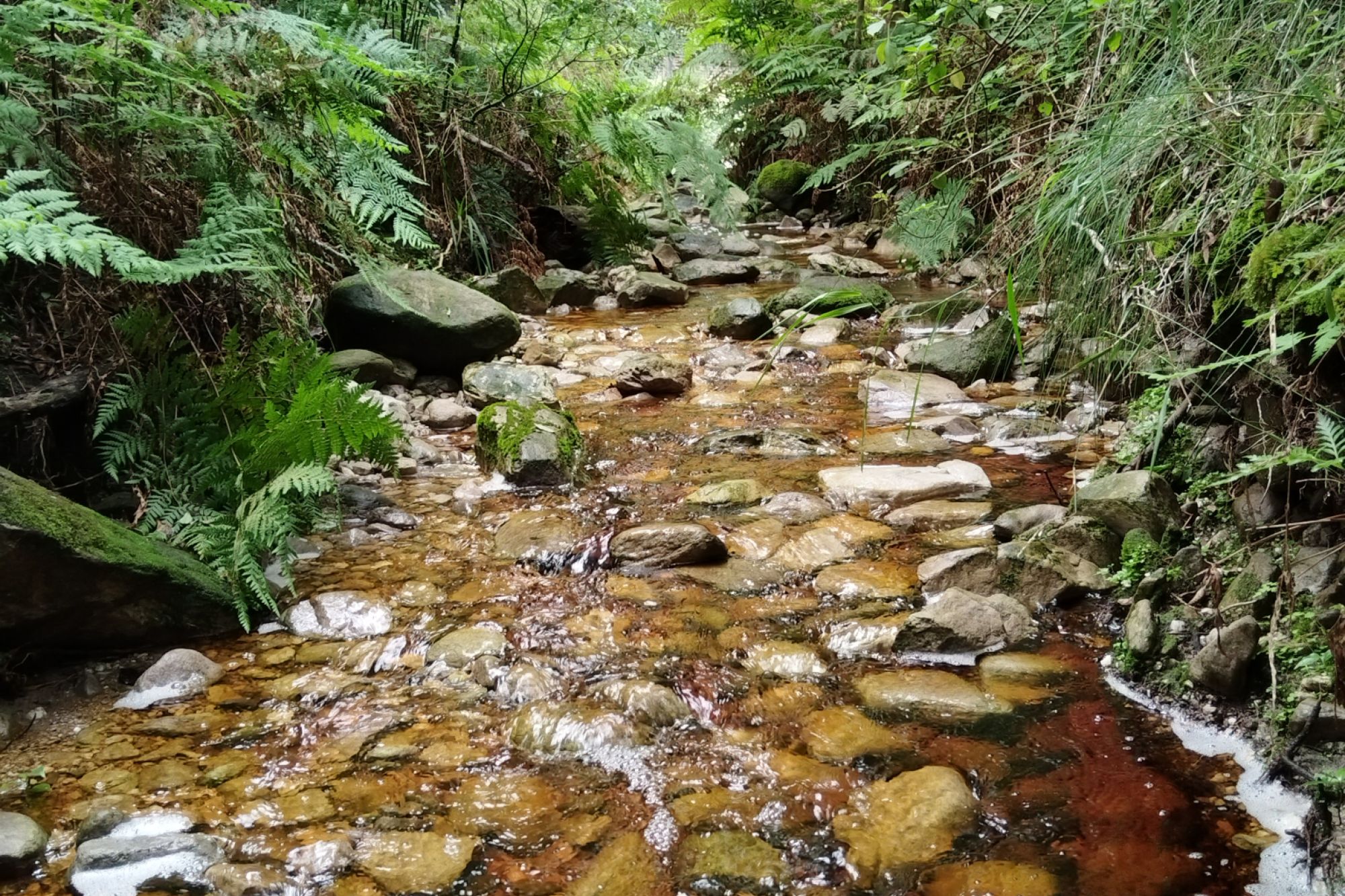 Image related to website content Image related to website content