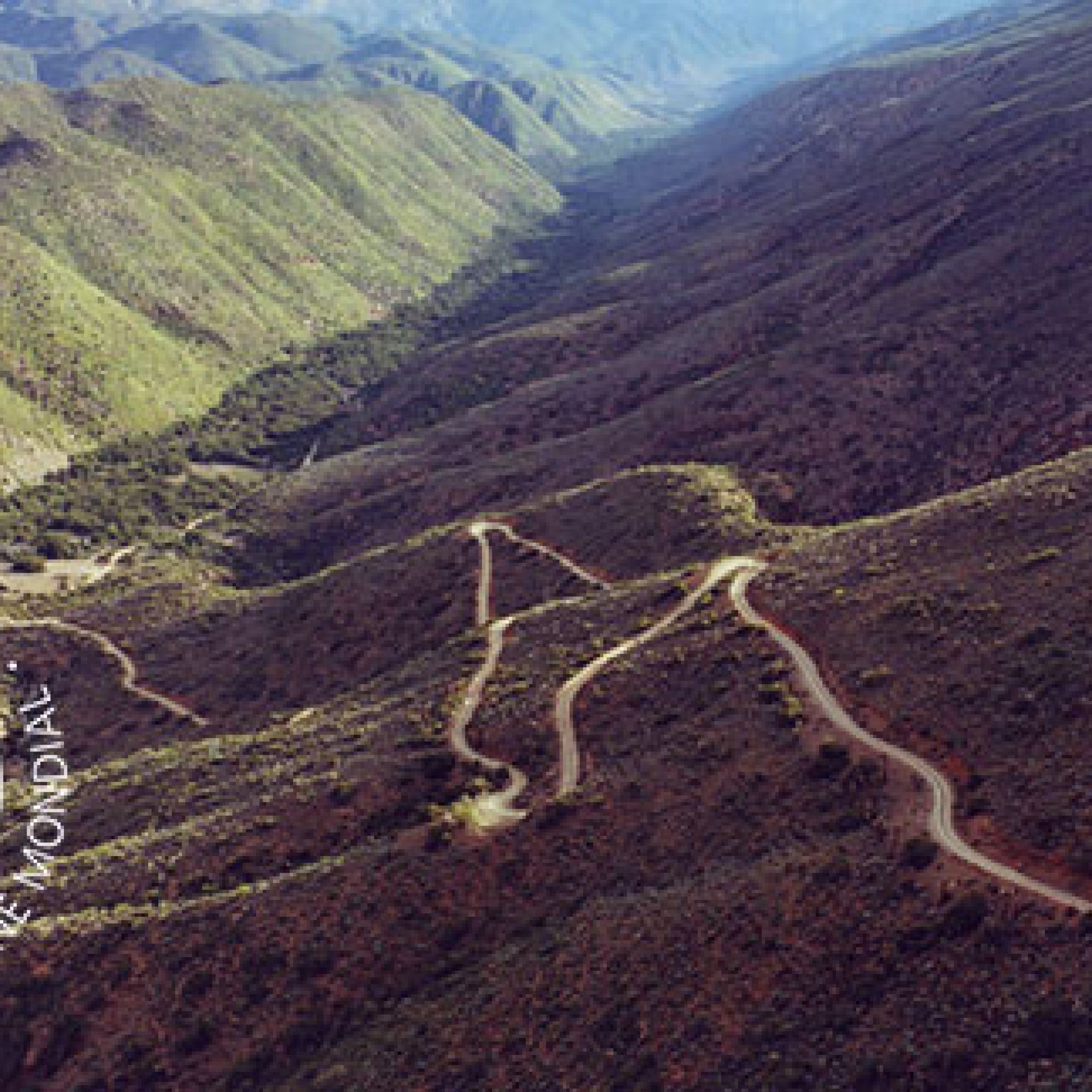 Swartberg with WHS logo 2