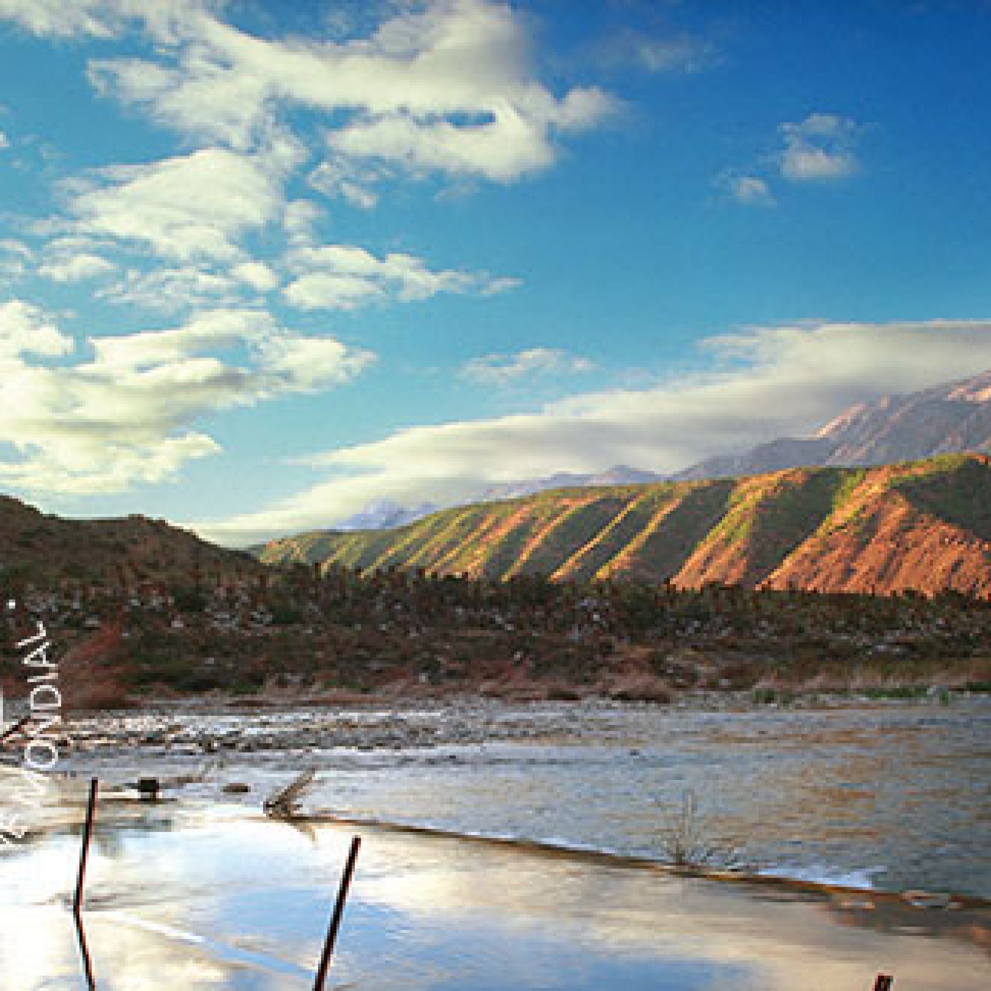 Swartberg with WHS logo 3