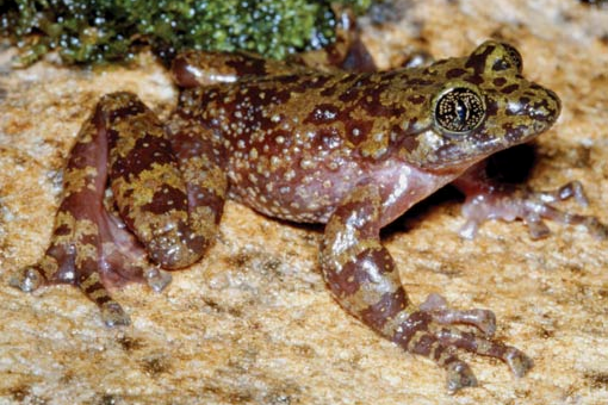 Image related to website content Image related to website content