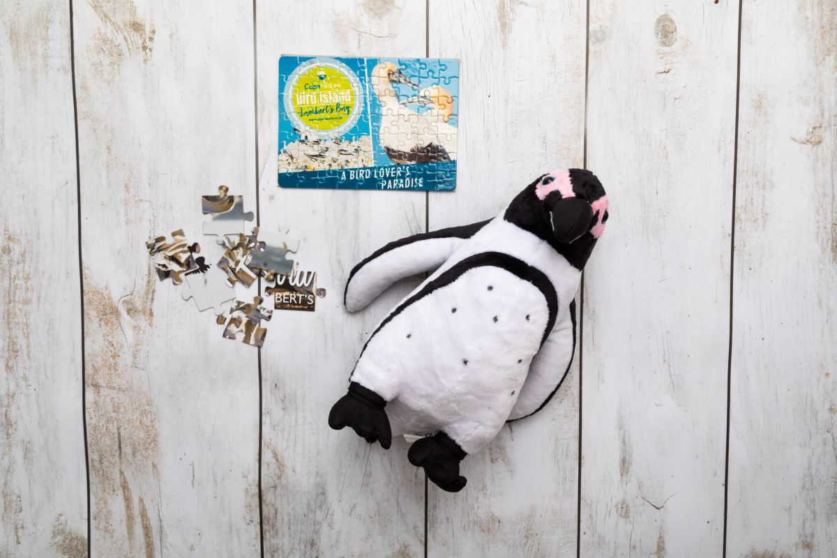 Tegan Smith Photography 39 Tegan Smith Photography 39