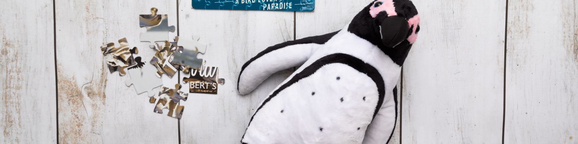 Tegan Smith Photography 39 Tegan Smith Photography 39