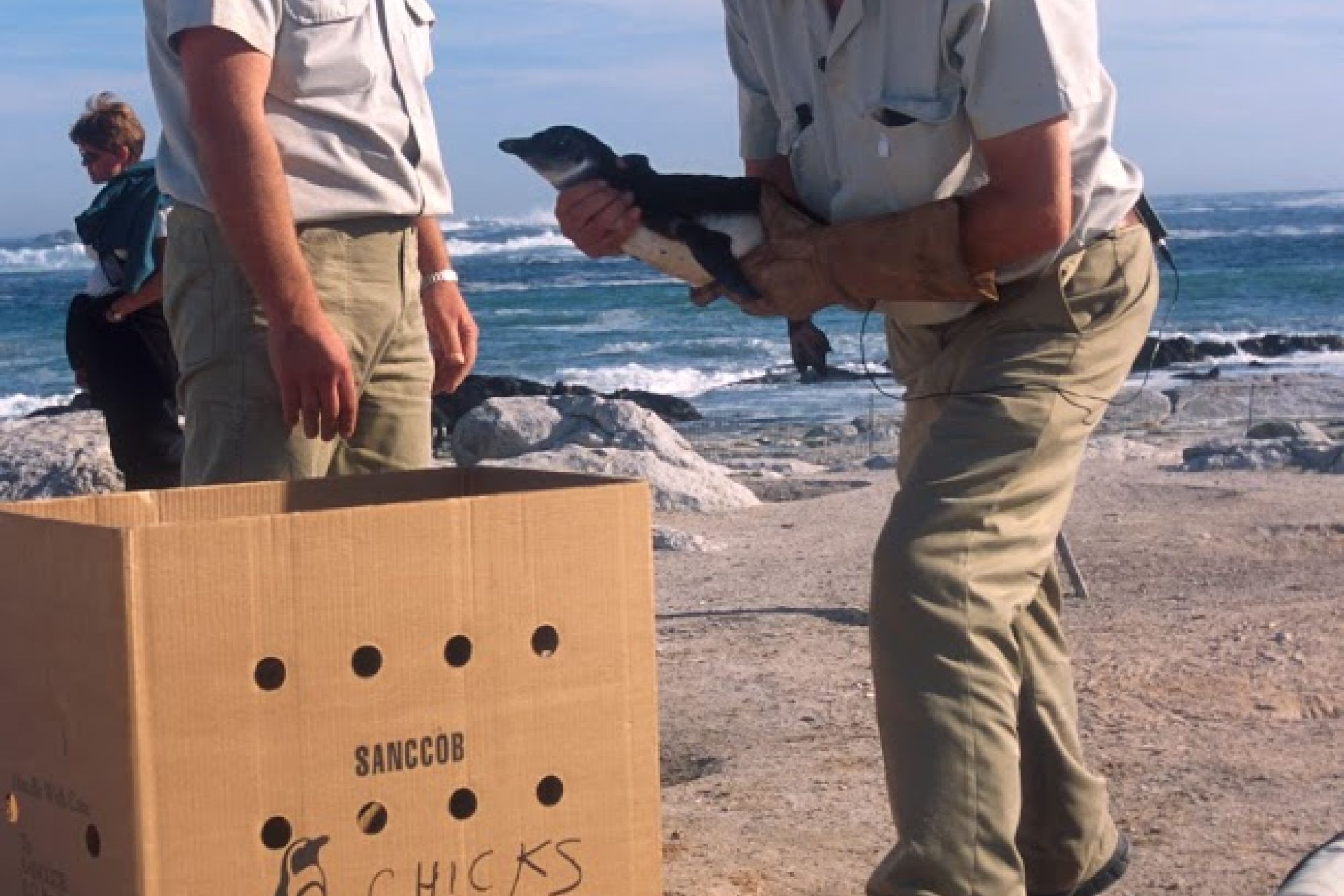 Image related to website content Image related to website content