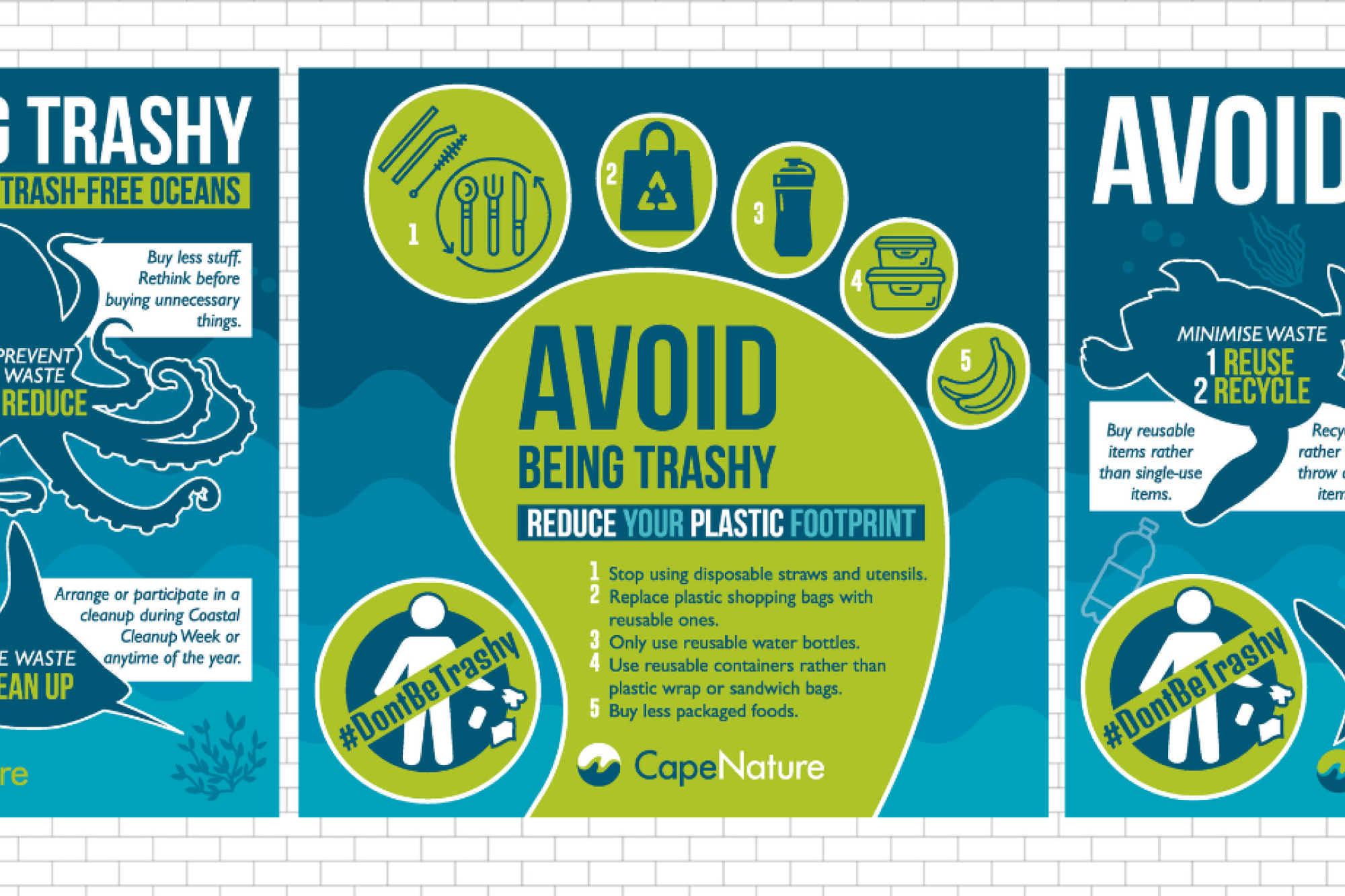 Image related to website content Image related to website content