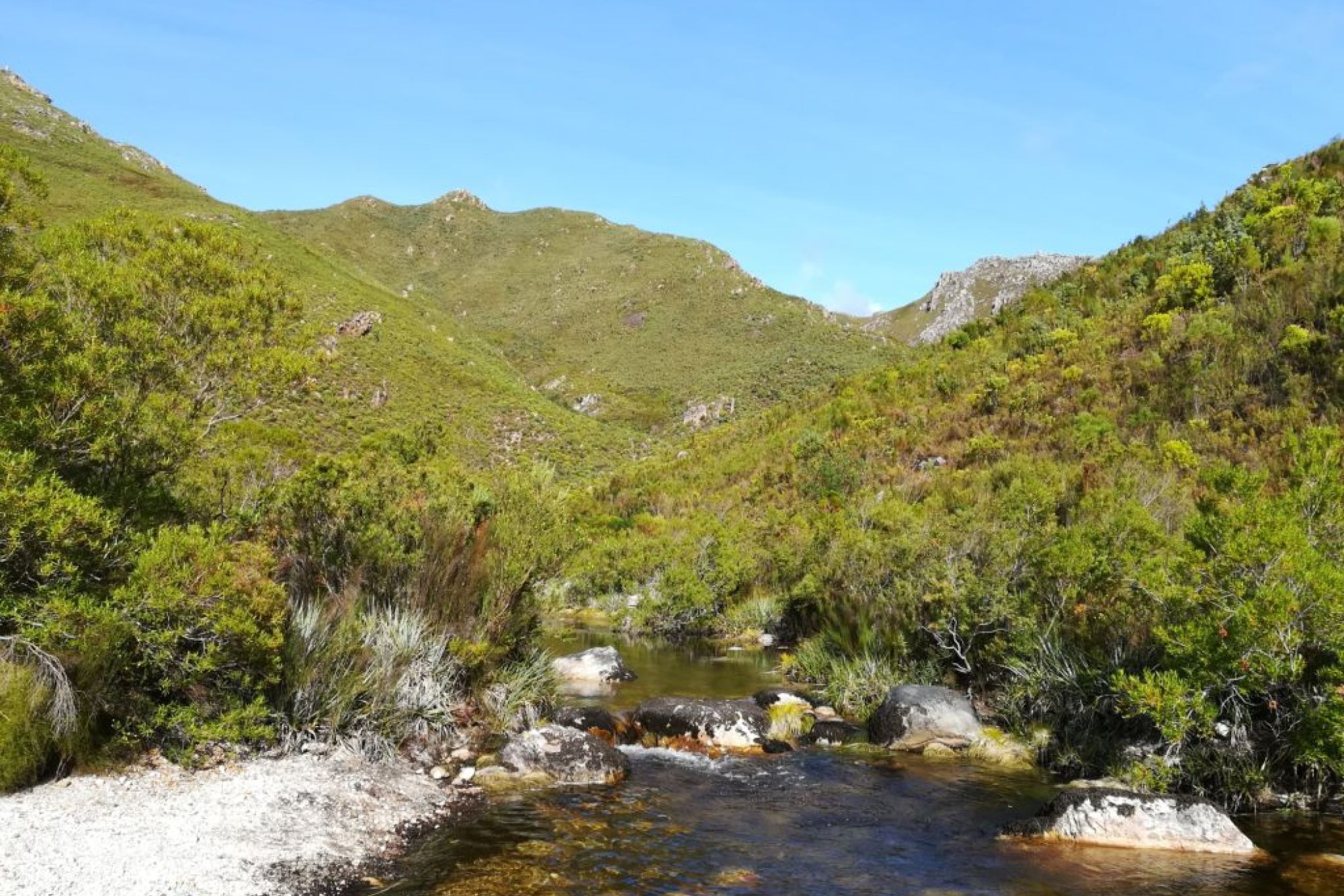 Image related to website content Image related to website content