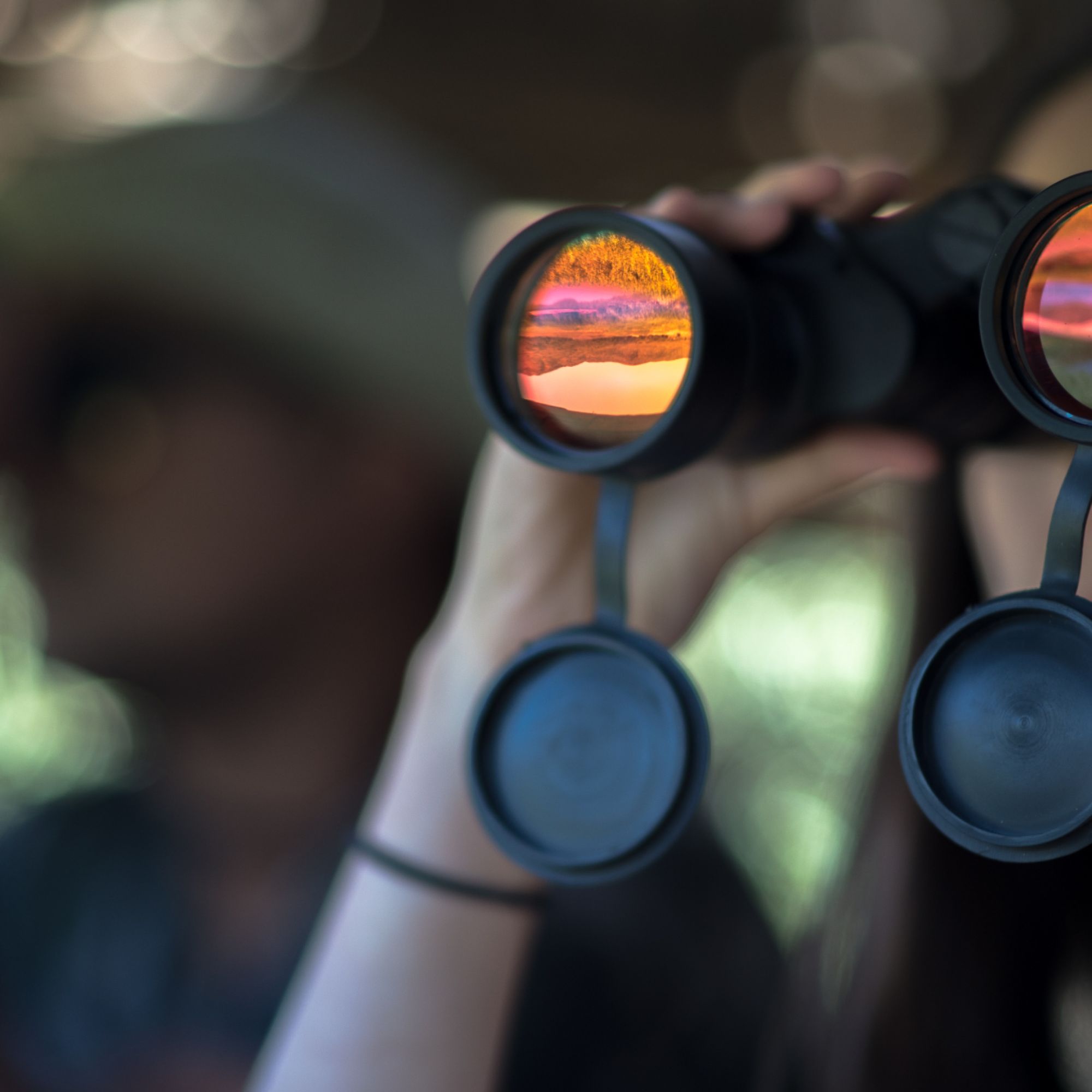 Image related to website content Image related to website content