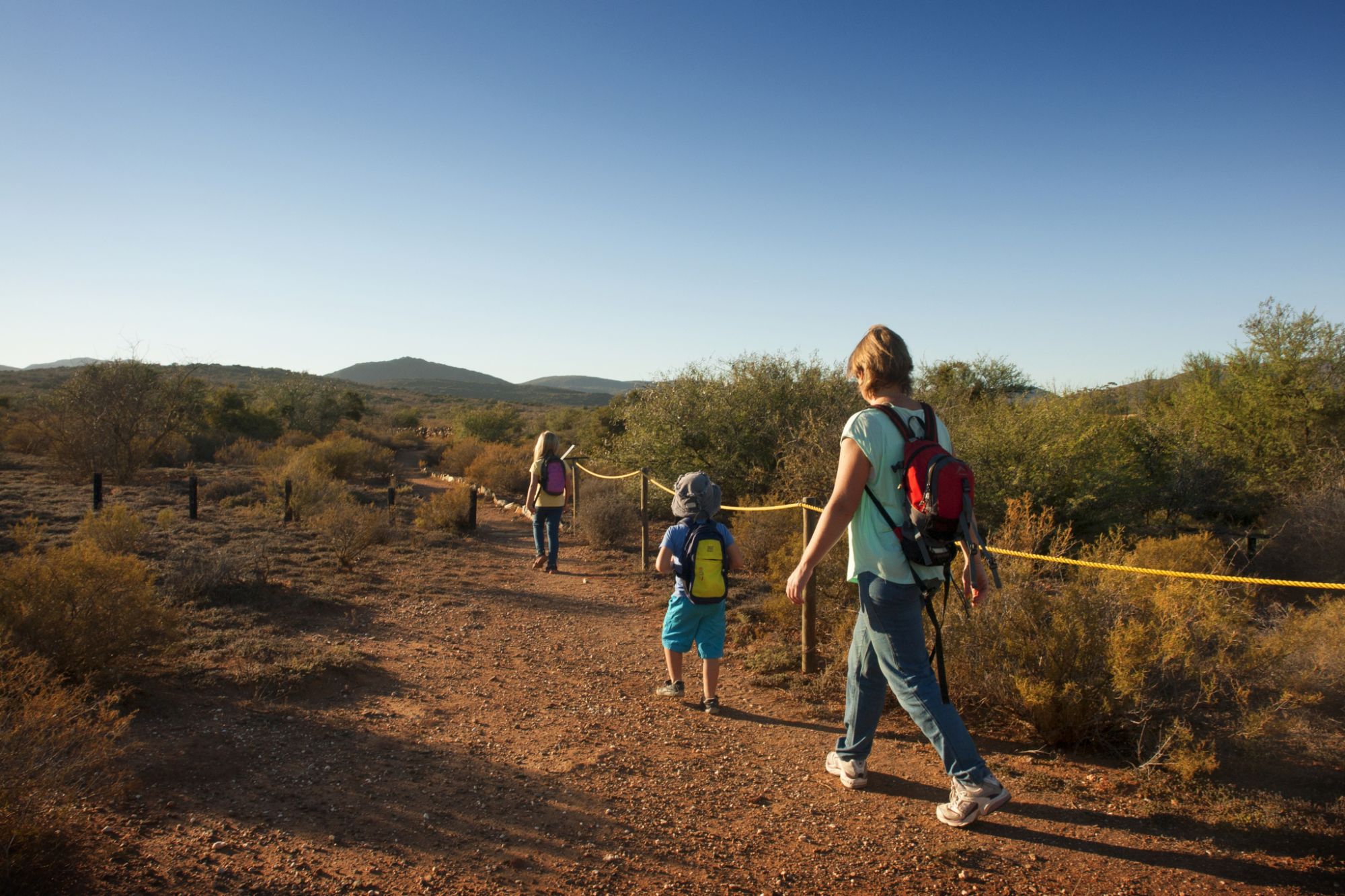 Image related to website content Image related to website content