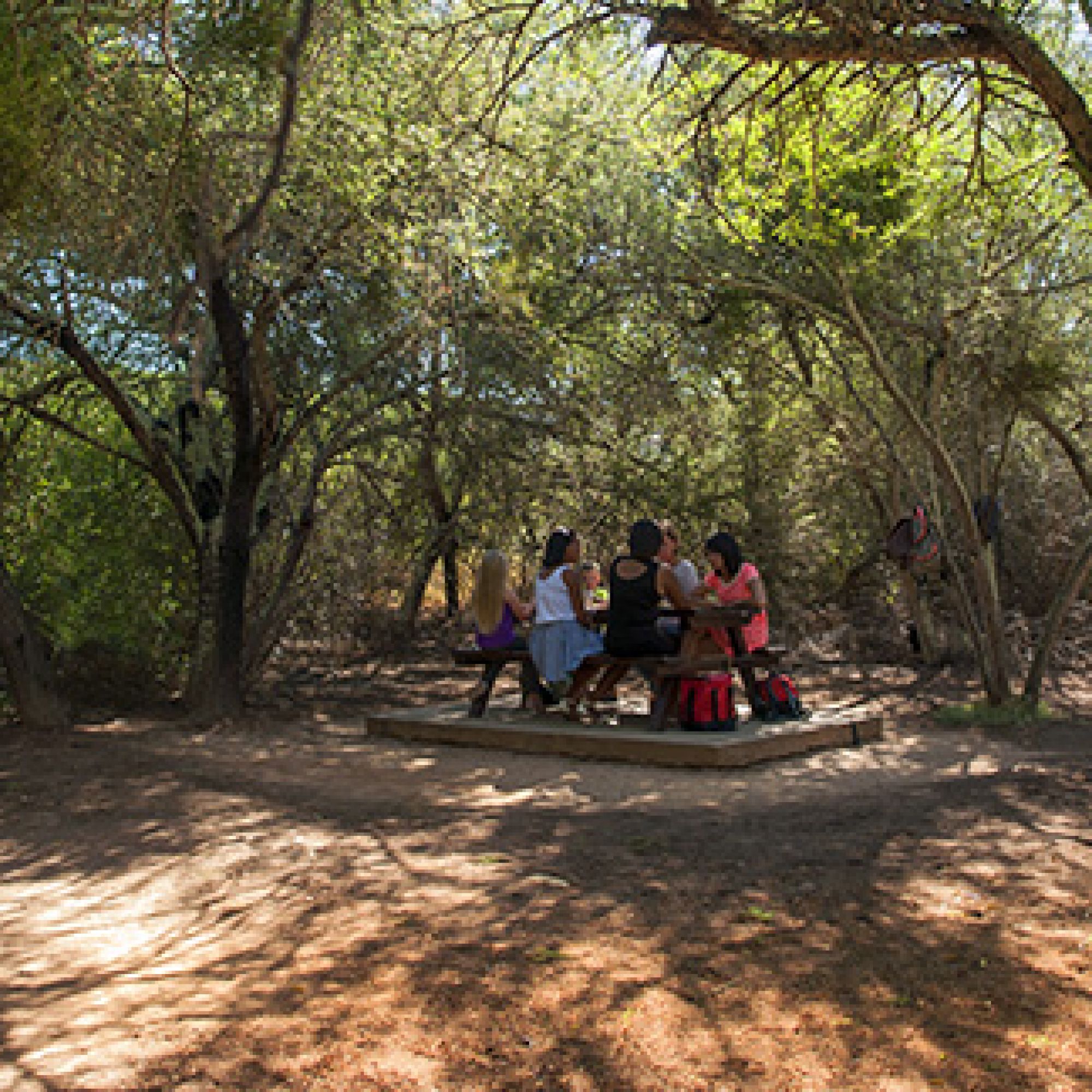 Vrolijkheid outdoors