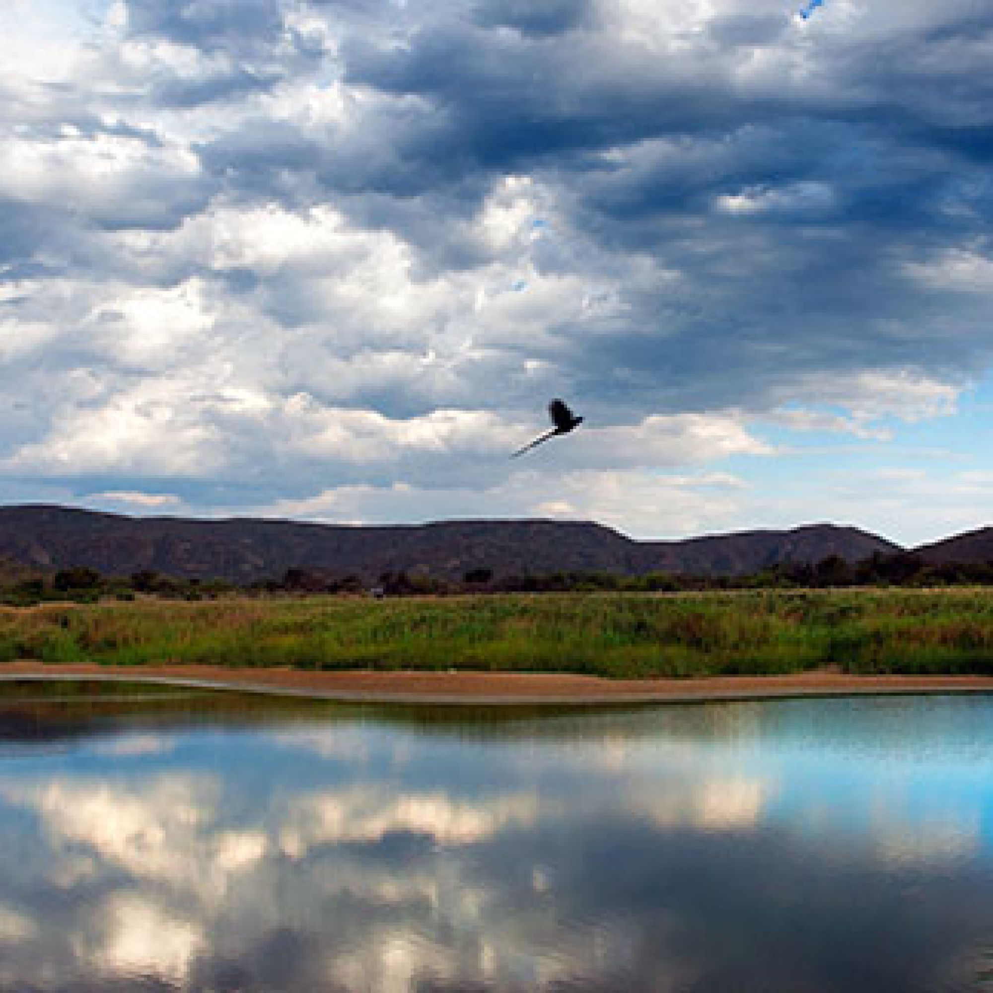 Image related to website content