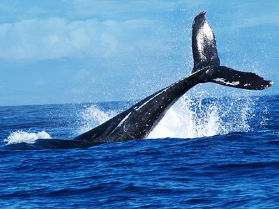 Image related to website content Image related to website content