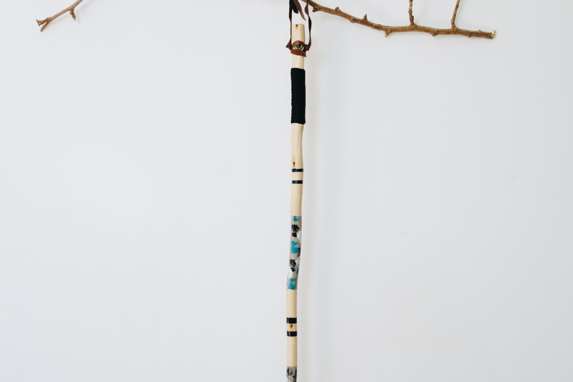 Walking Stick 1 Walking Stick 1