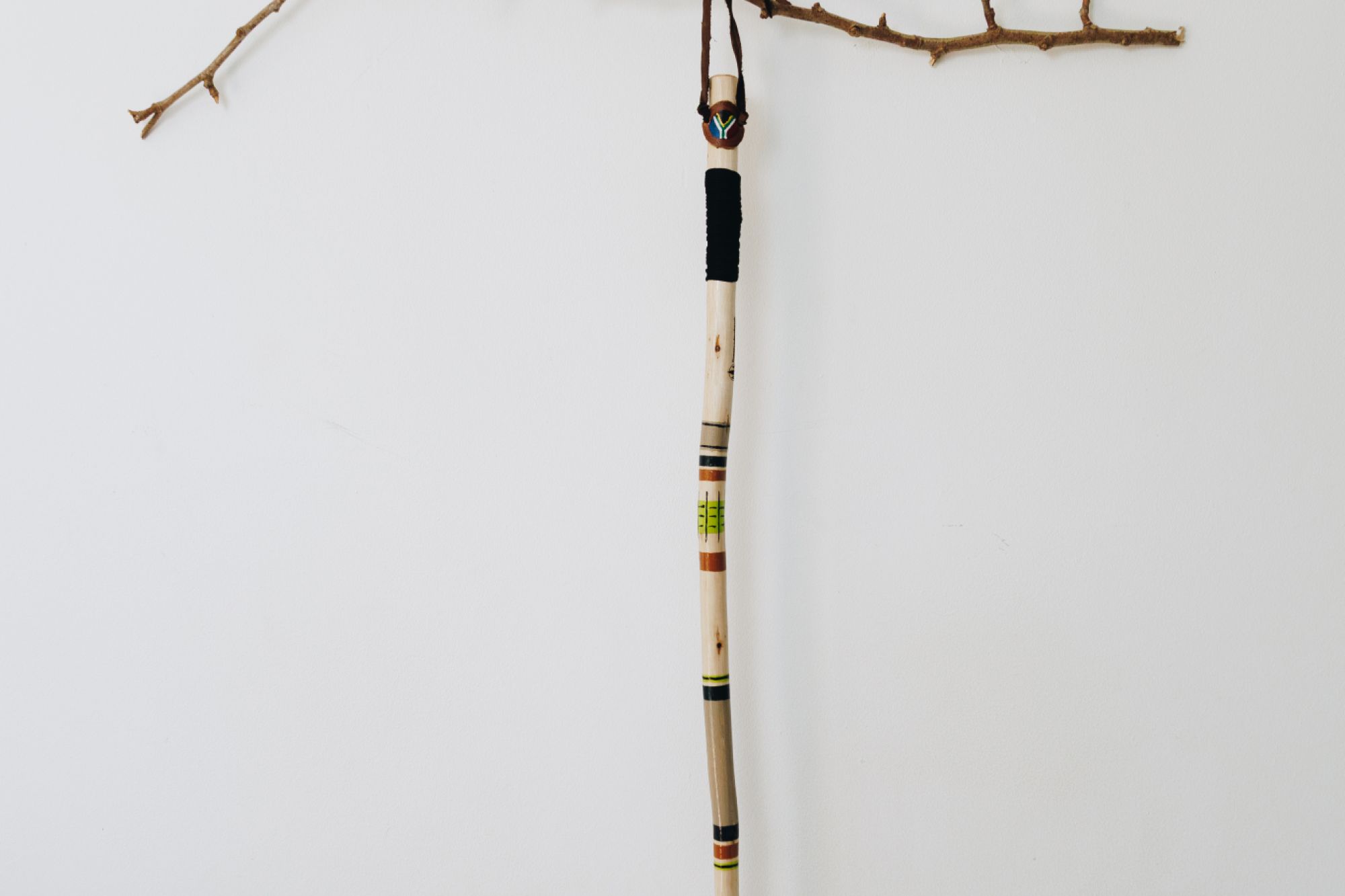 Walking Stick Grootvadersbosch 1 Walking Stick Grootvadersbosch 1