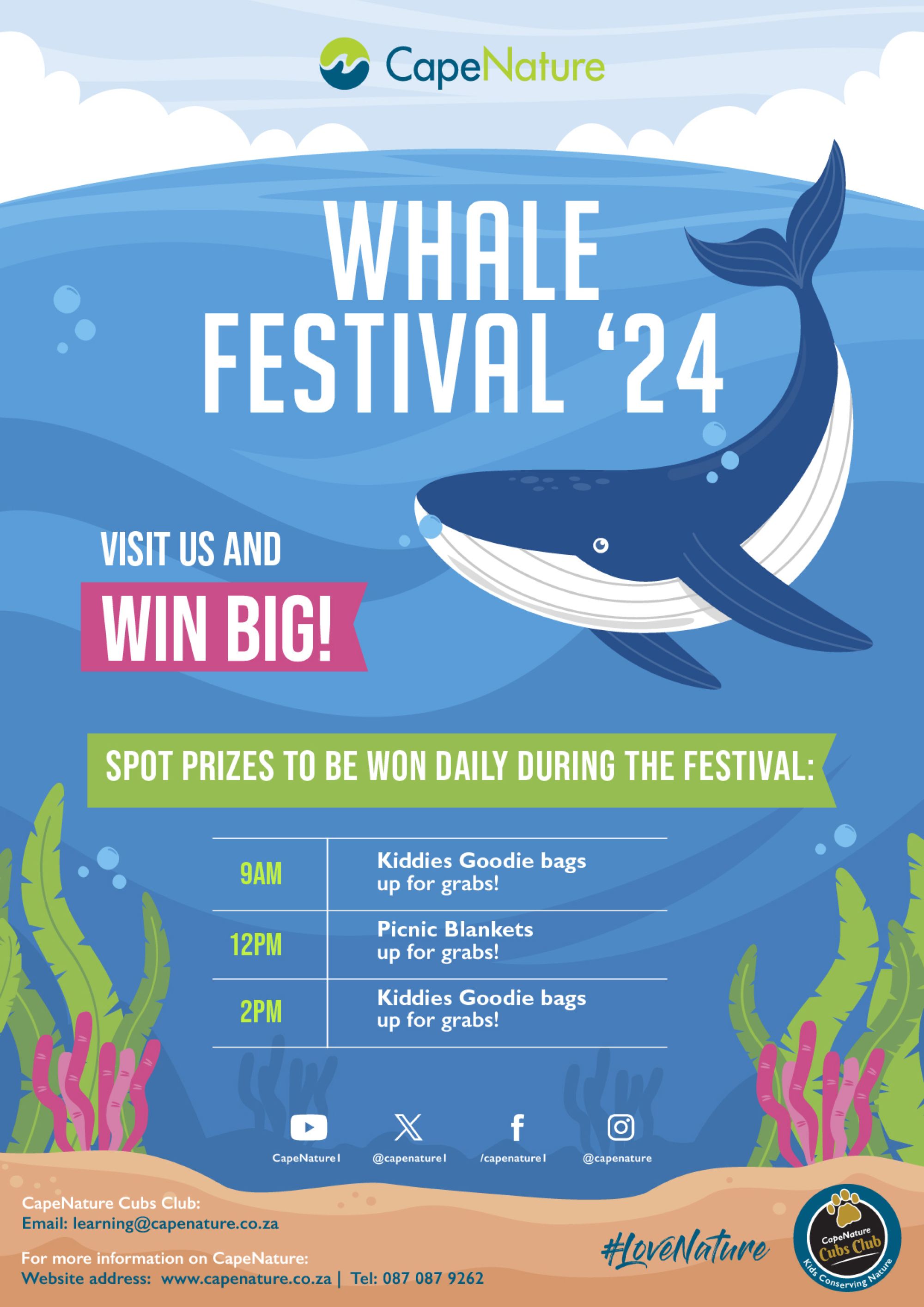 Image related to website content Image related to website content