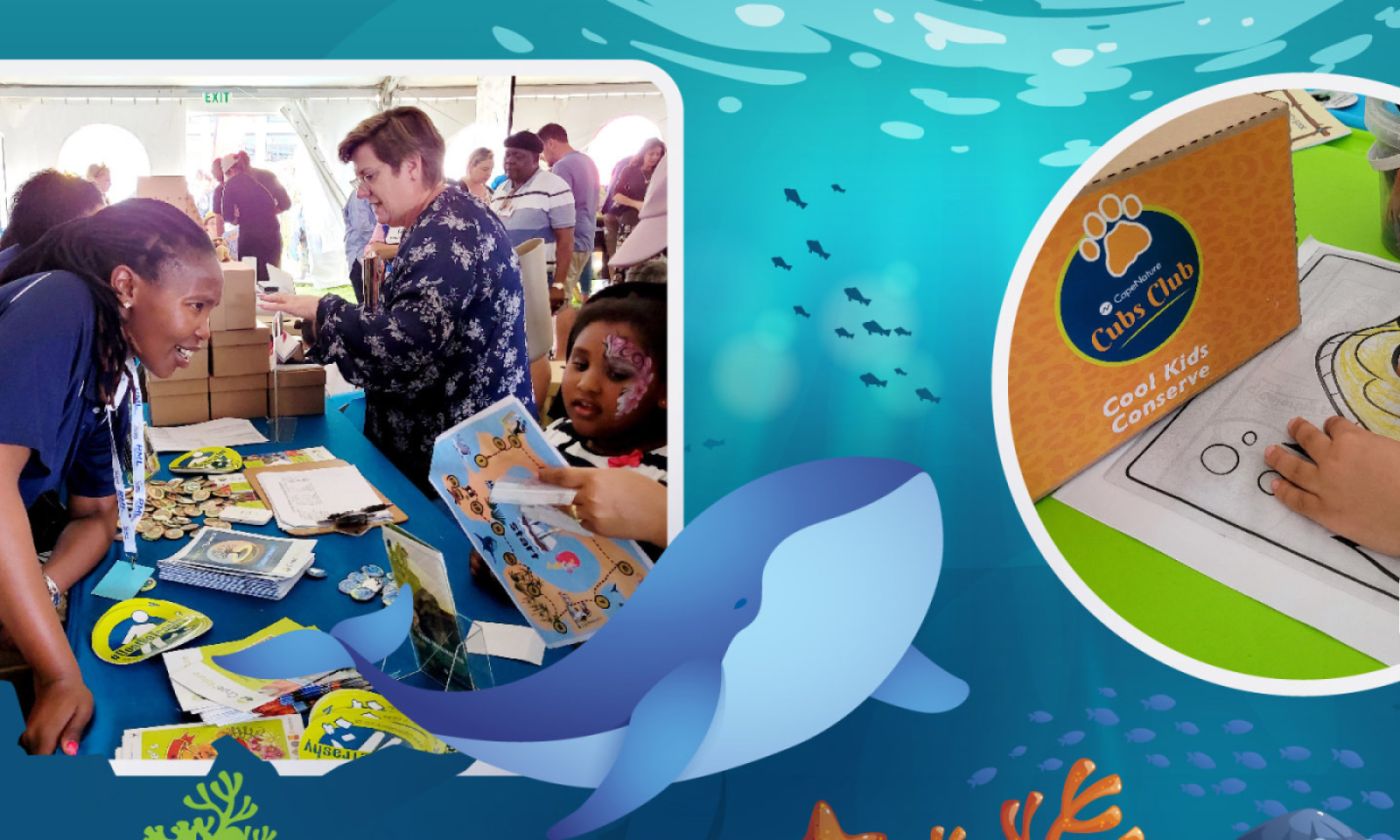 Whale Festival Attracts Scores of People Capenature