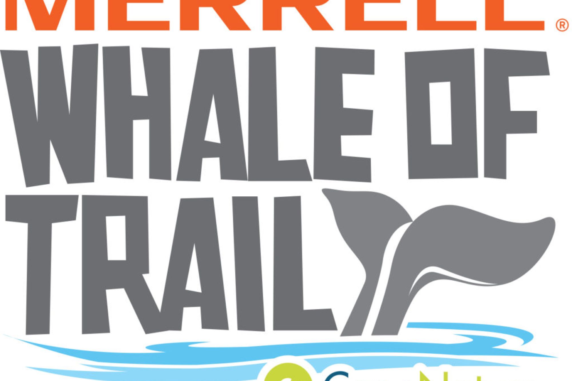 Image related to website content Image related to website content