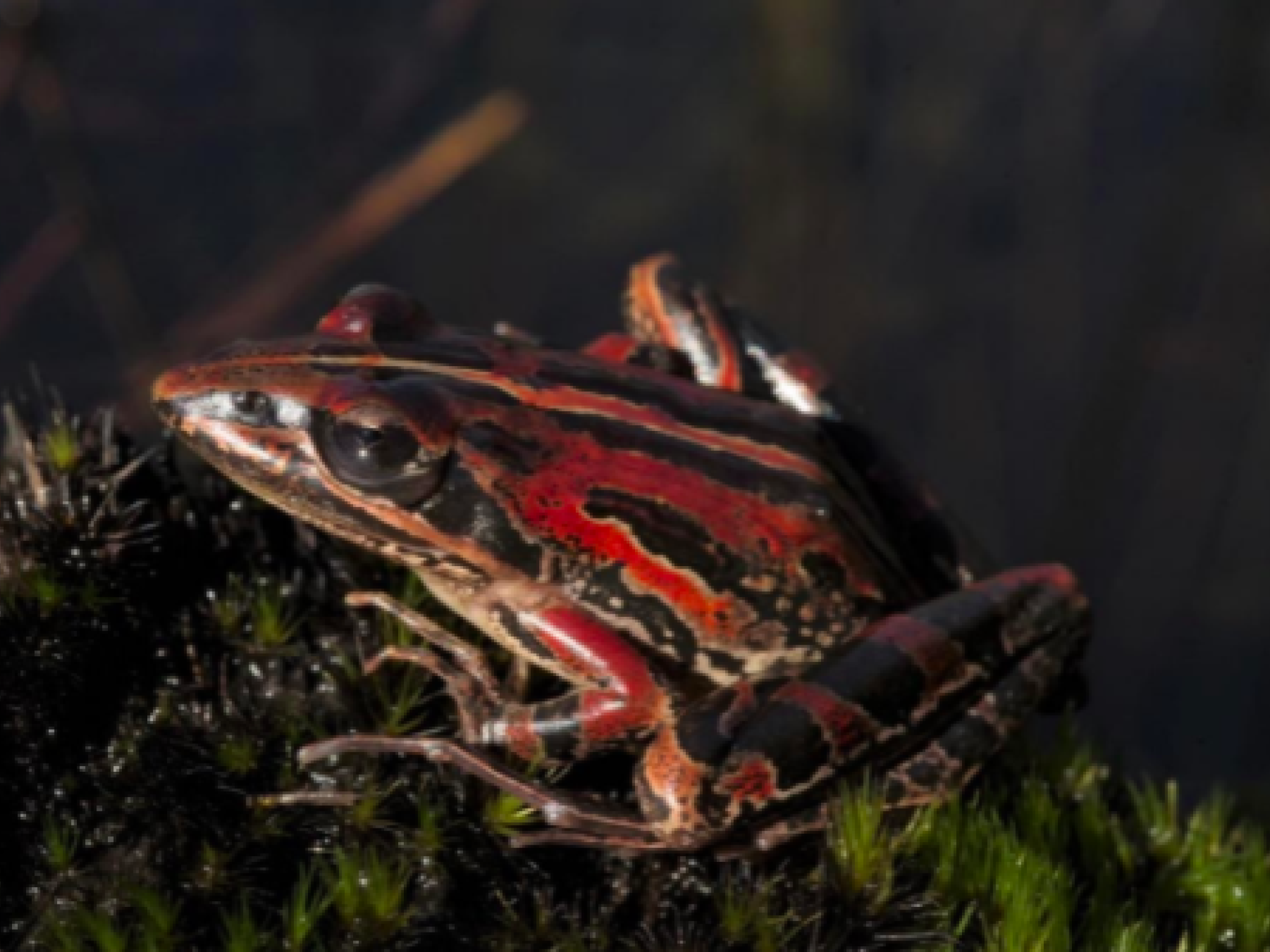 Image related to website content Image related to website content