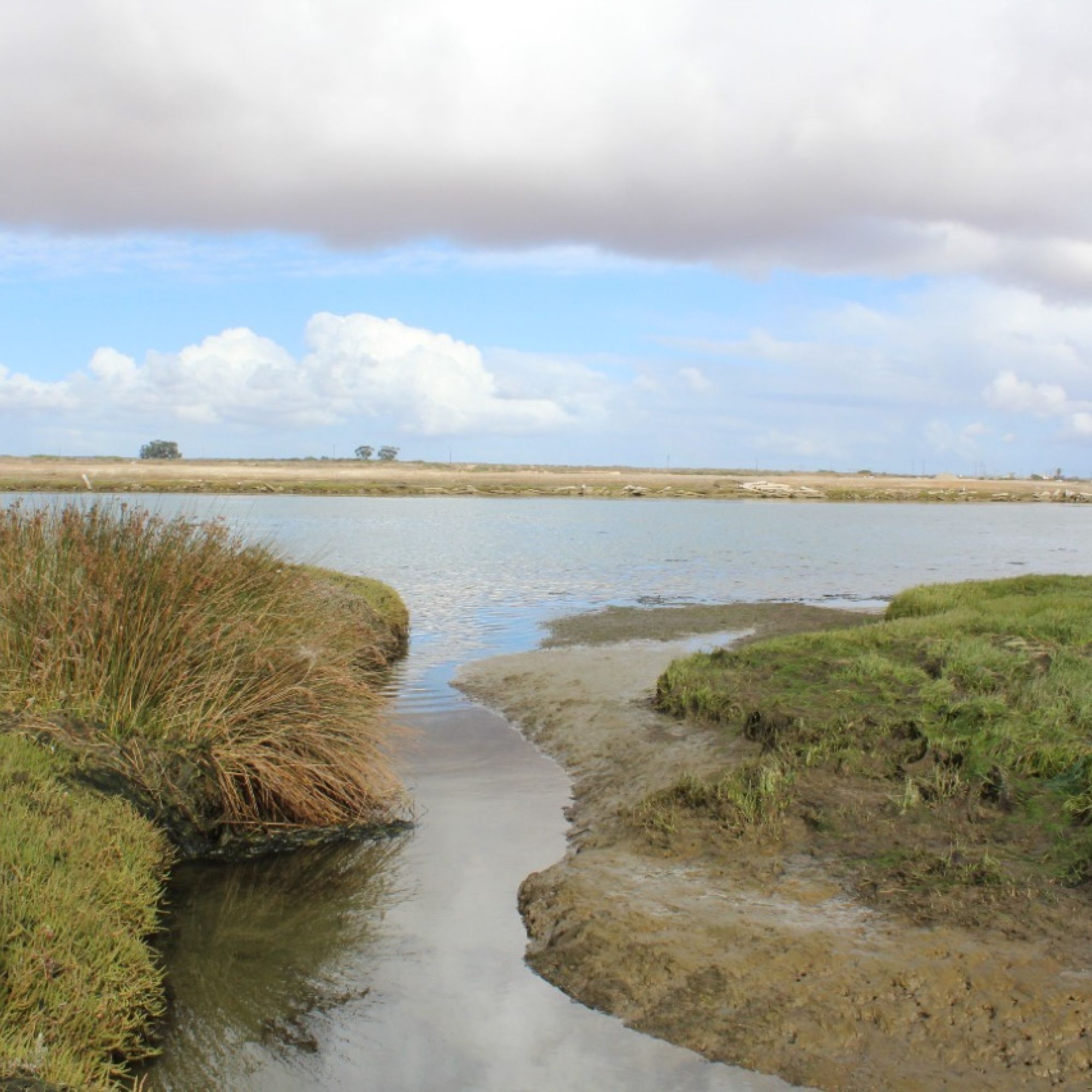 Image related to website content Image related to website content