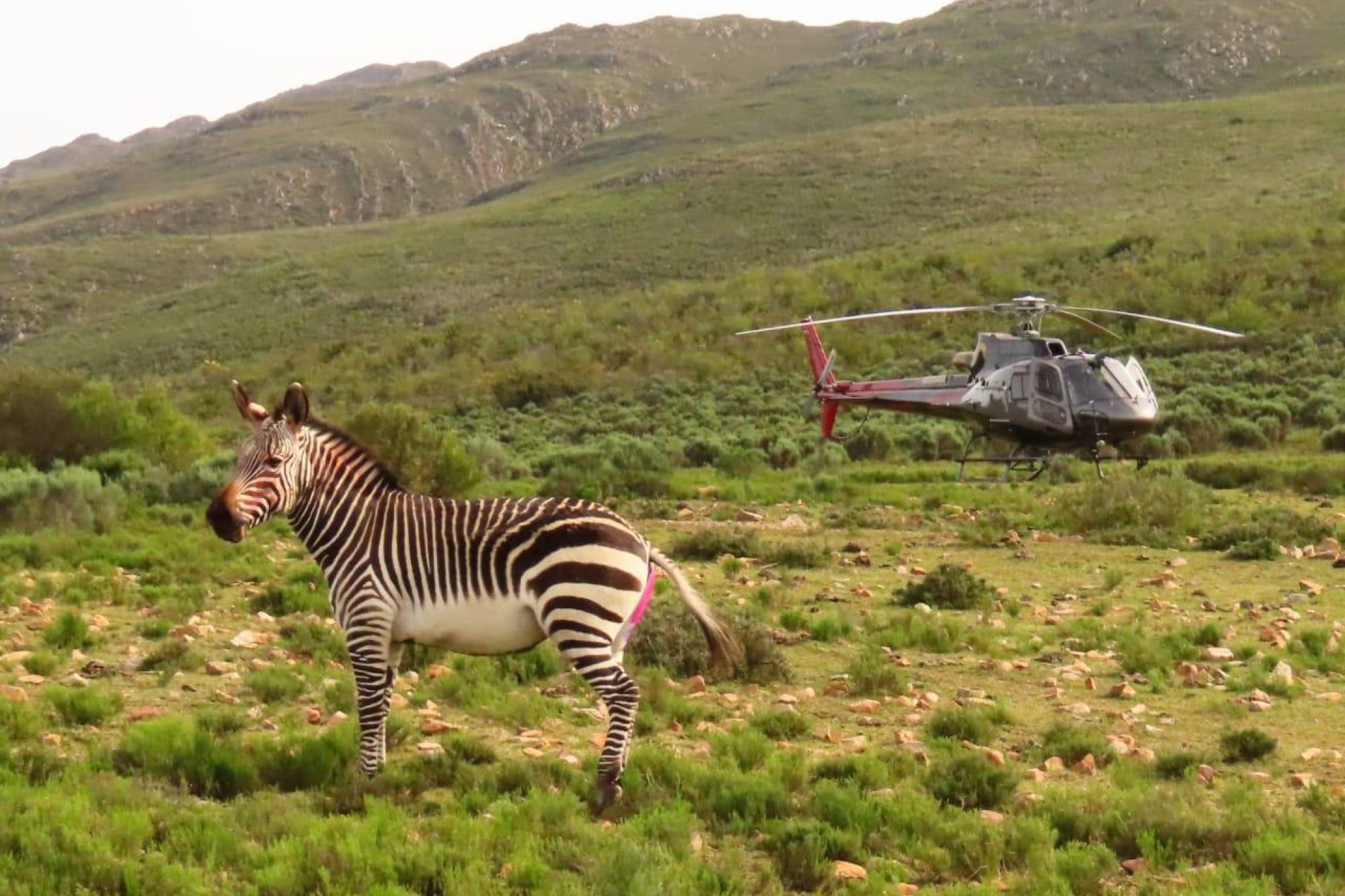 Image related to website content Image related to website content