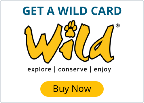 Image related to website content Image related to website content