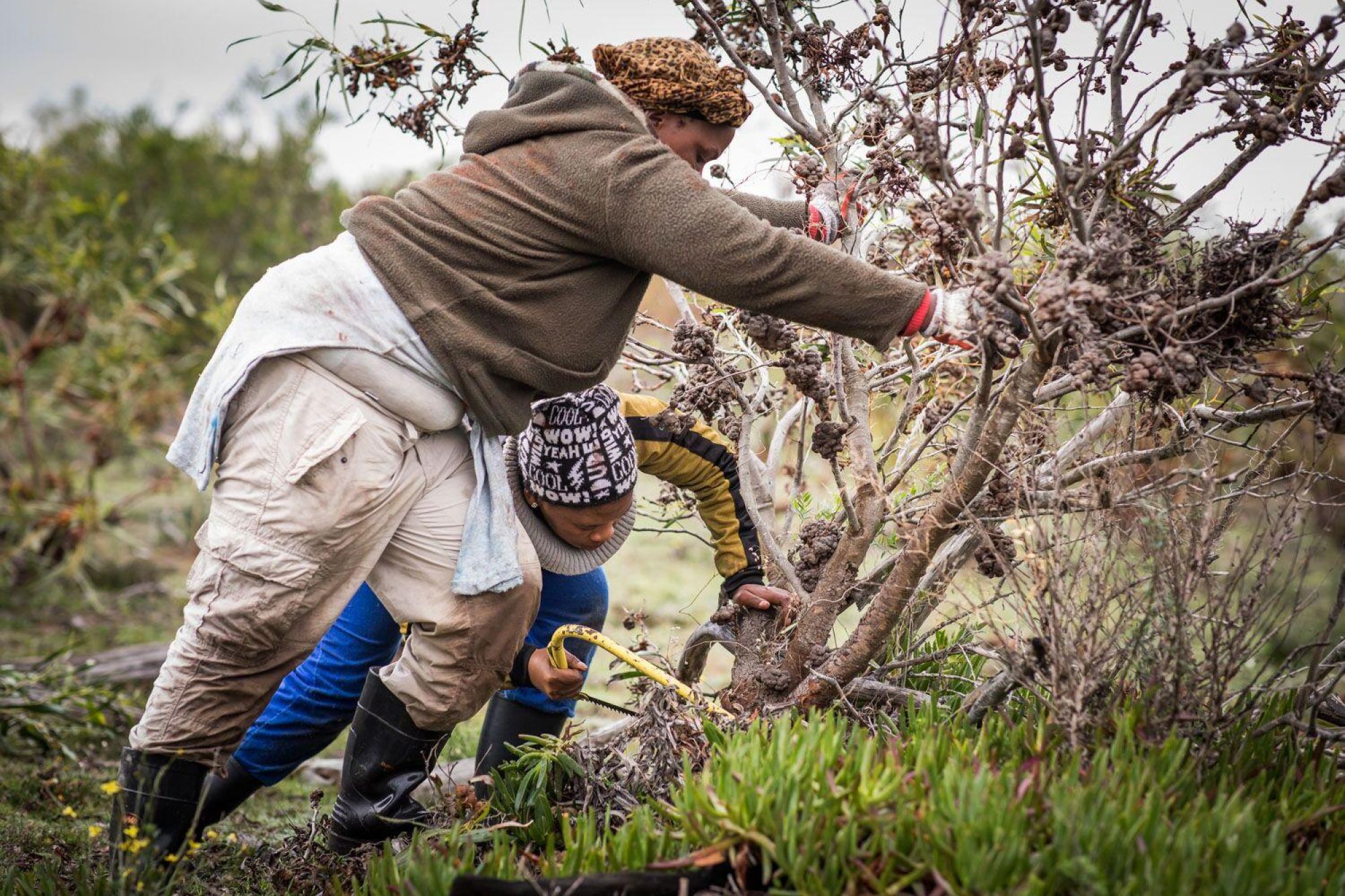 Image related to website content Image related to website content