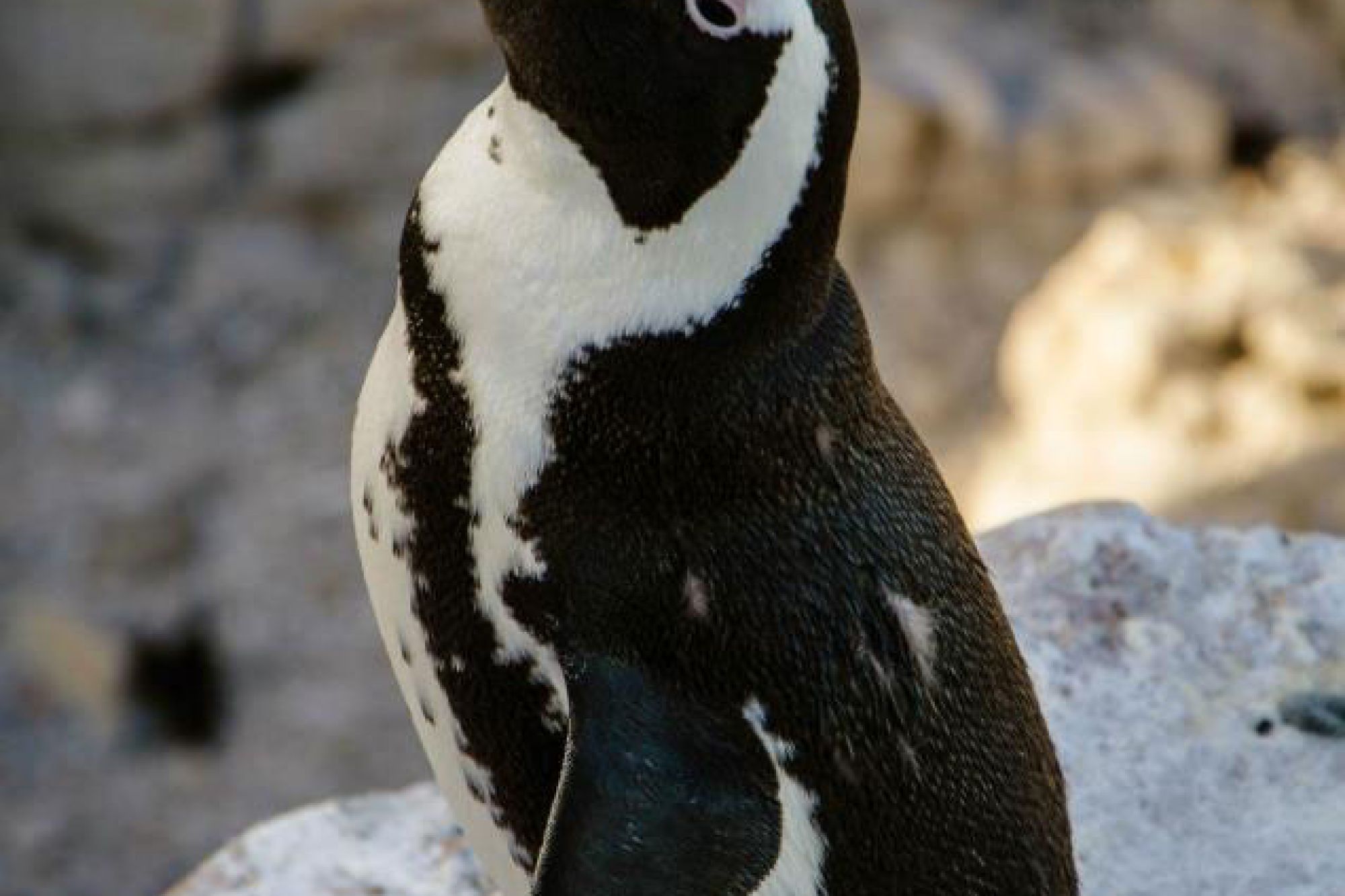 Image related to website content Image related to website content