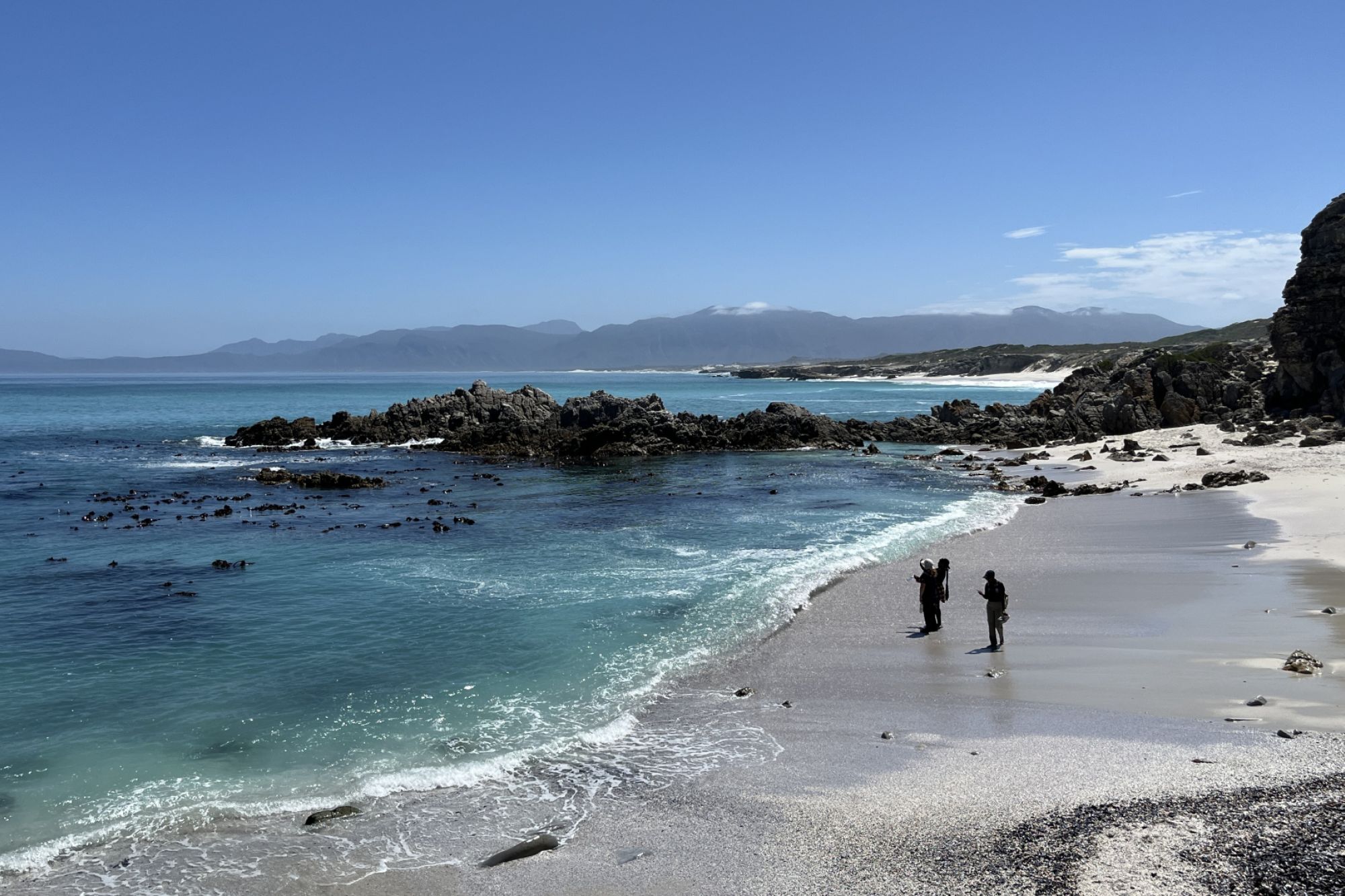 Image related to website content Image related to website content