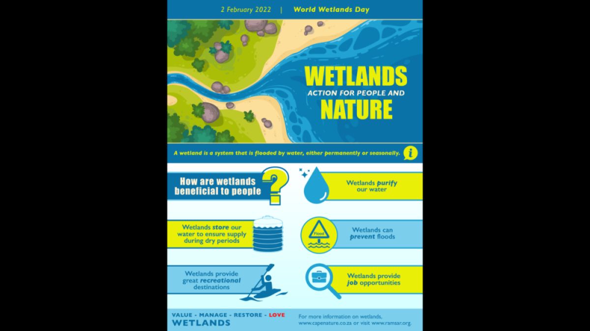 CapeNature celebrates World Wetlands Day 2022 in anticipation of the ...