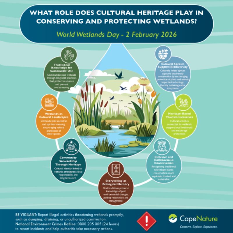 Celebrating the cultural heritage of wetlands on World Wetlands Day 2026