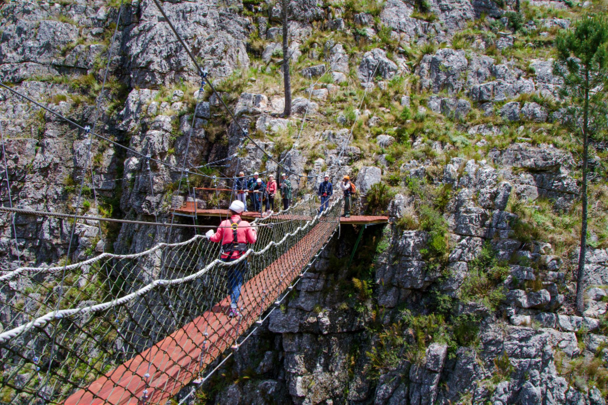 Image related to website content Image related to website content