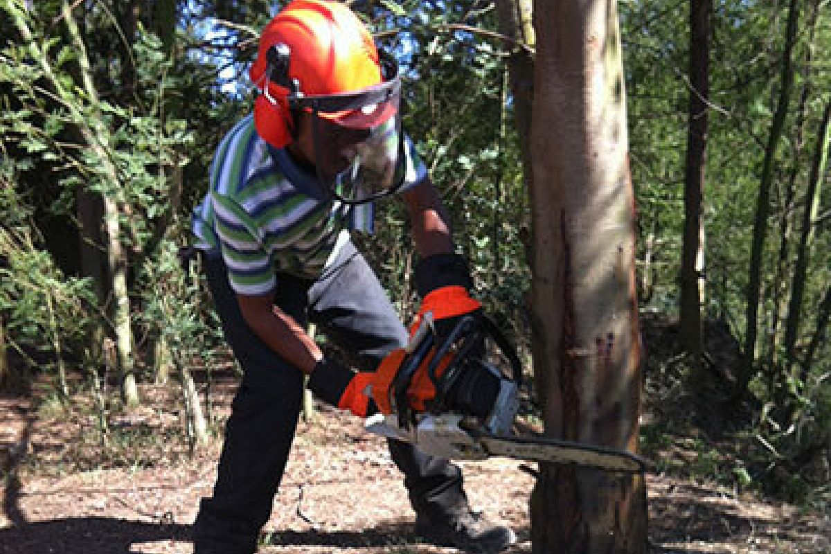 Alien clearing Alien clearing