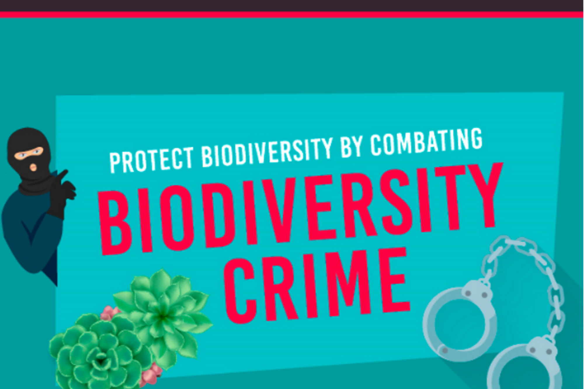 Image related to website content Image related to website content