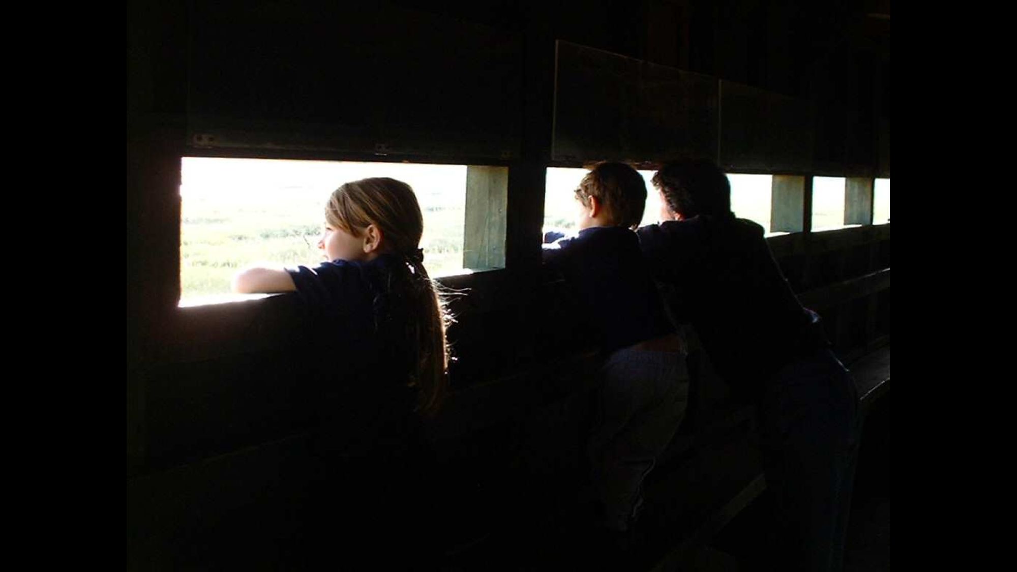 Image related to website content Image related to website content