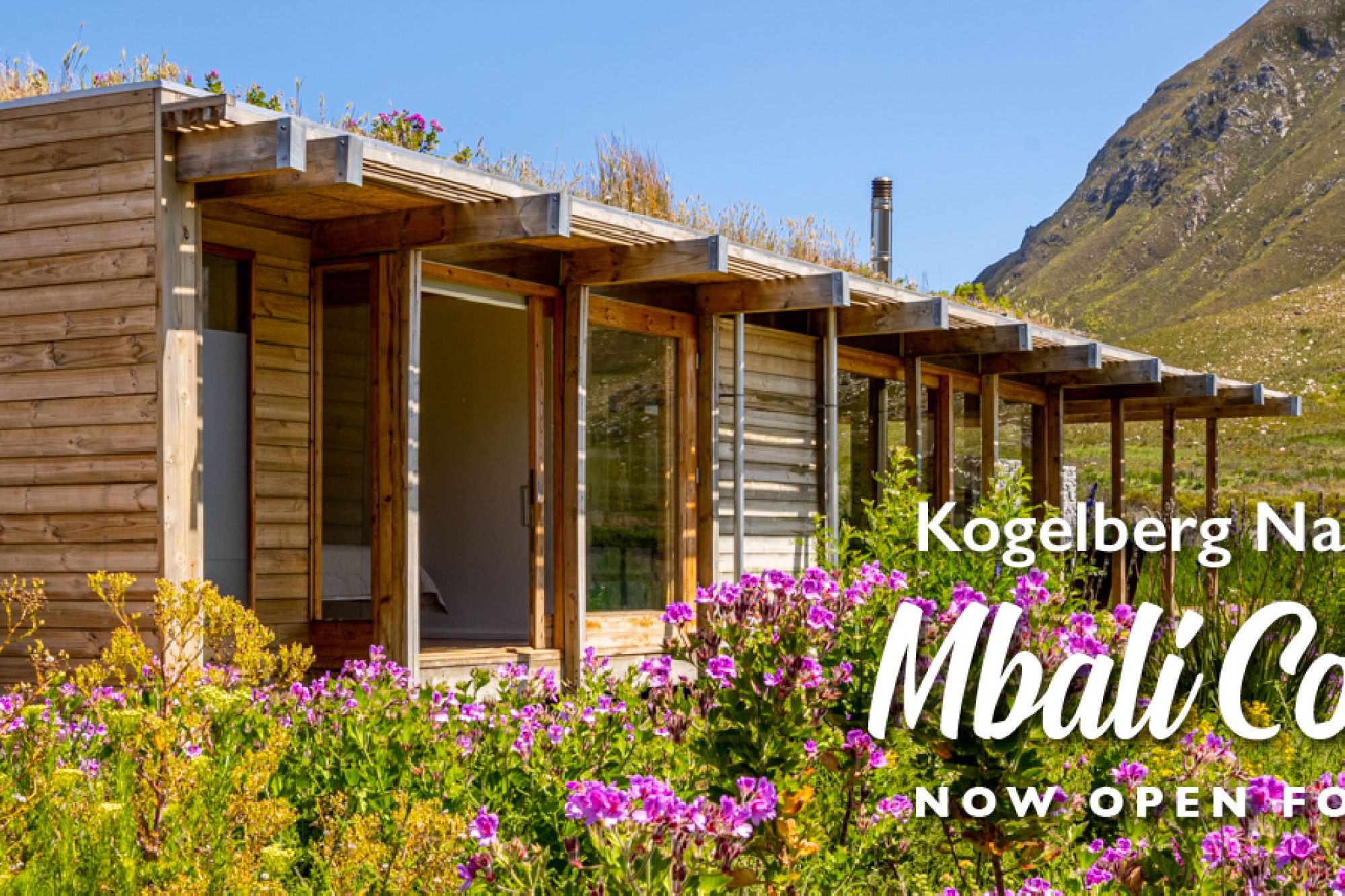 Image related to website content Image related to website content