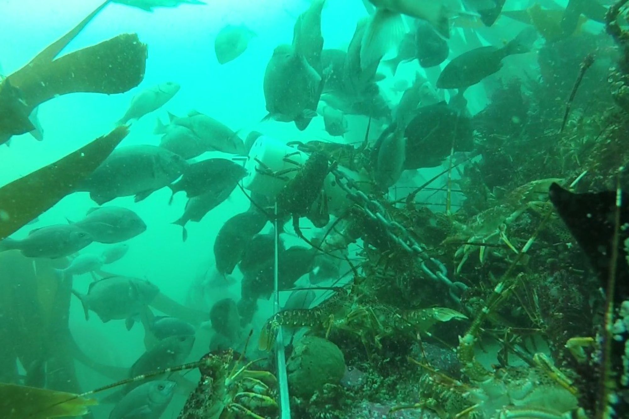 Image related to website content Image related to website content