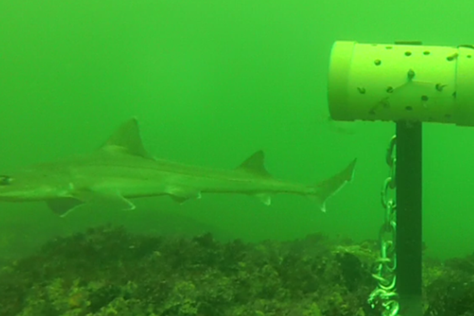 Image related to website content Image related to website content