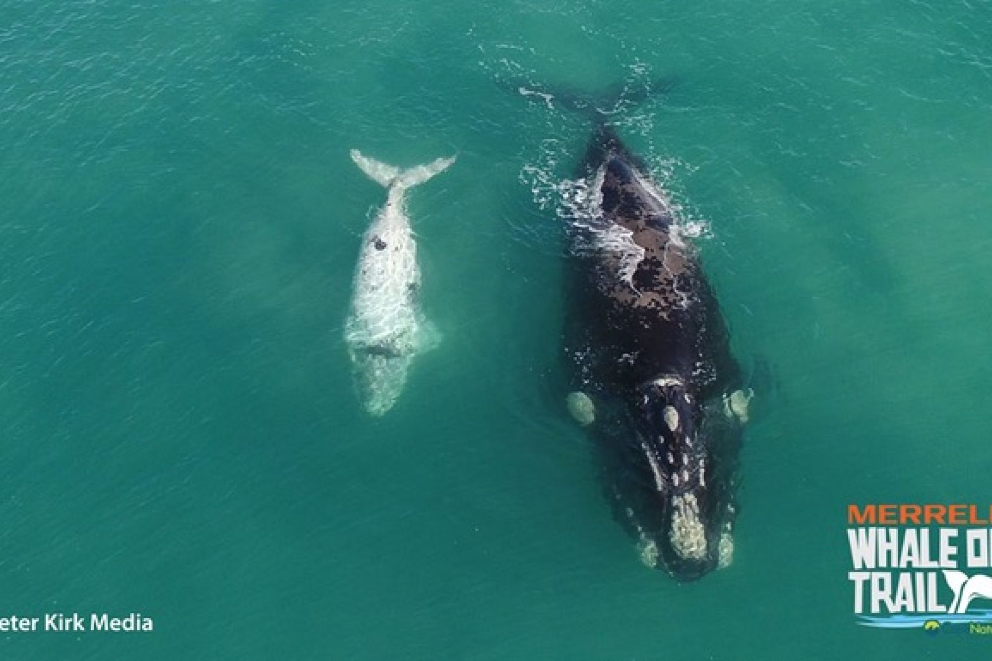 Image related to website content Image related to website content