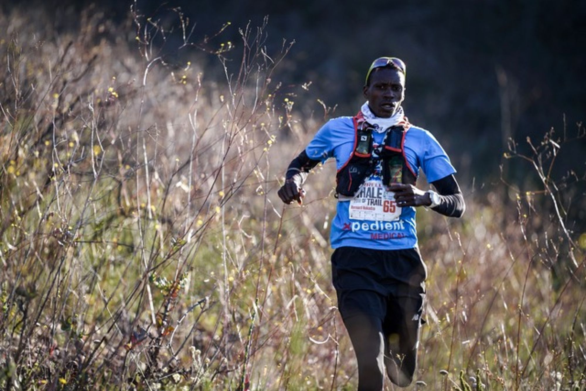 Image related to website content Image related to website content