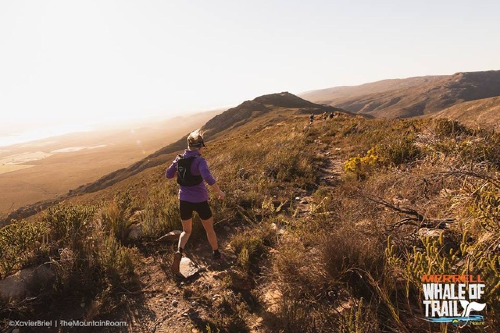 Image related to website content Image related to website content