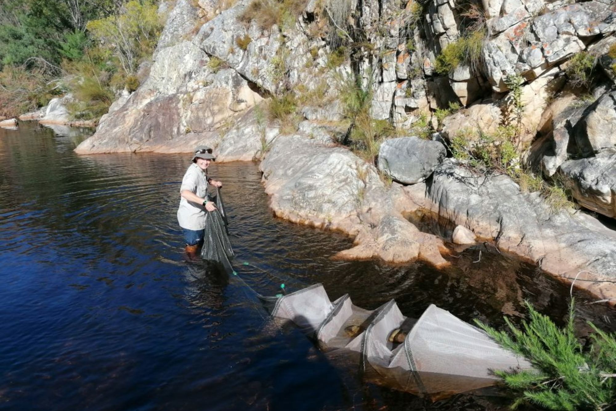 Image related to website content Image related to website content