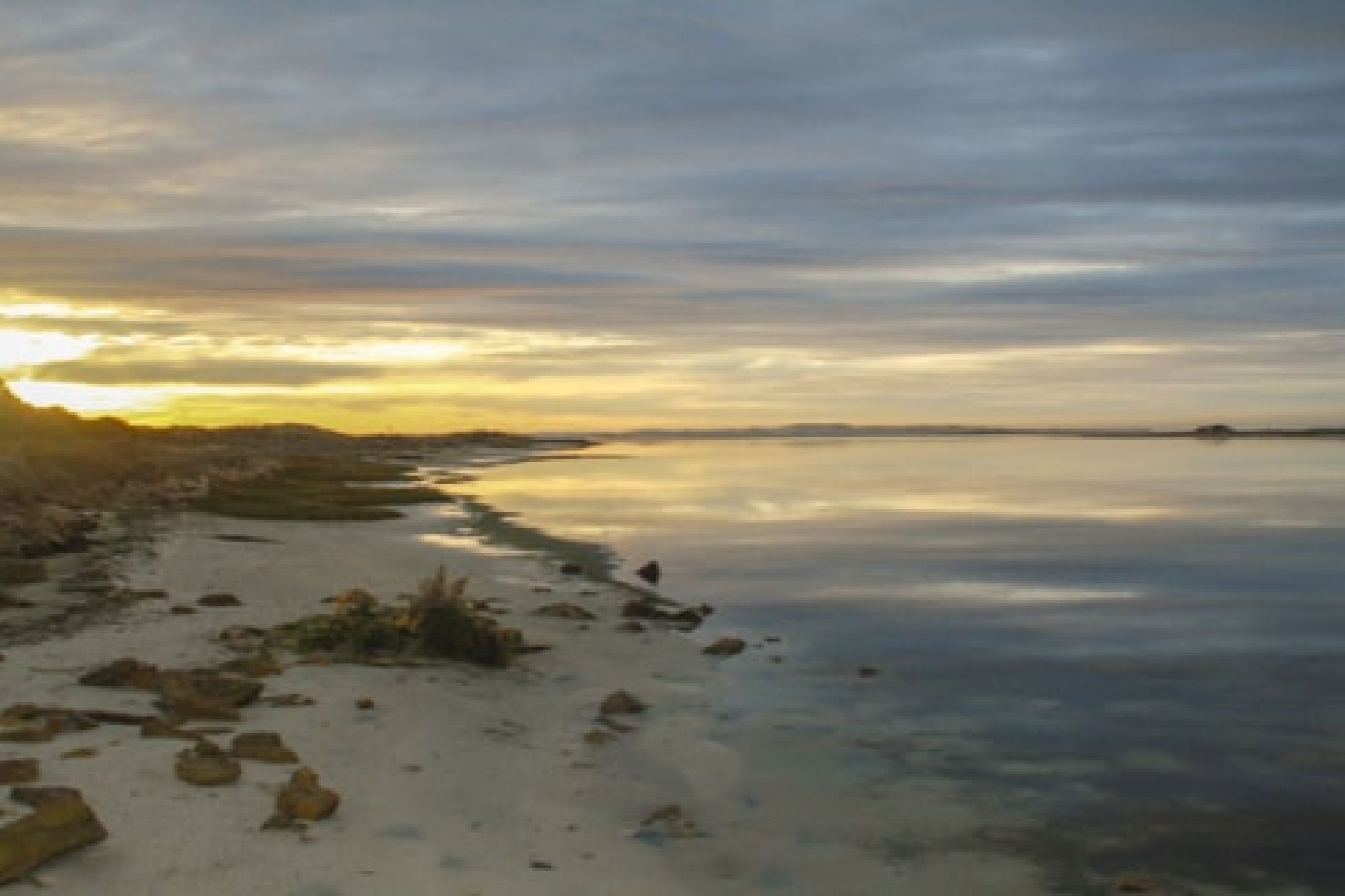 Image related to website content Image related to website content