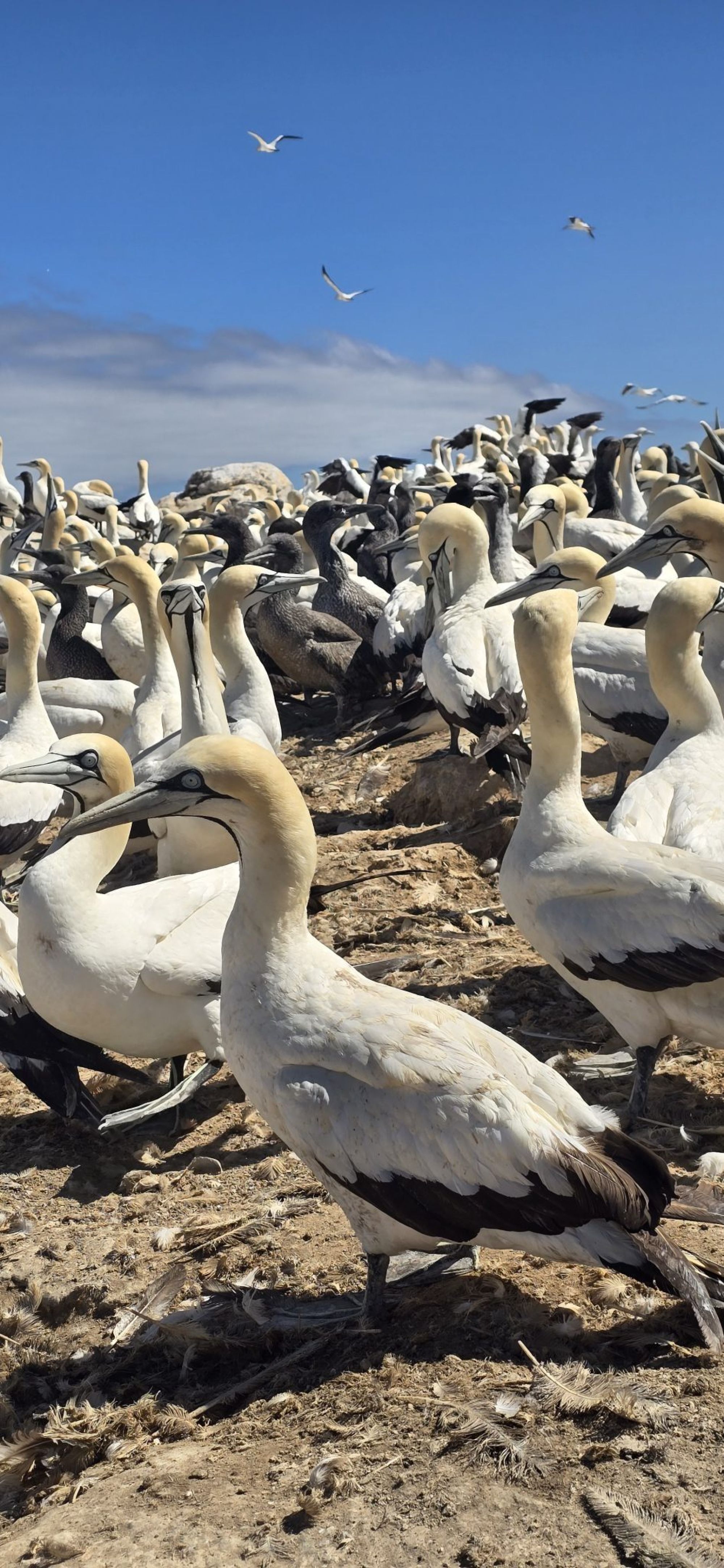 Image related to website content Image related to website content