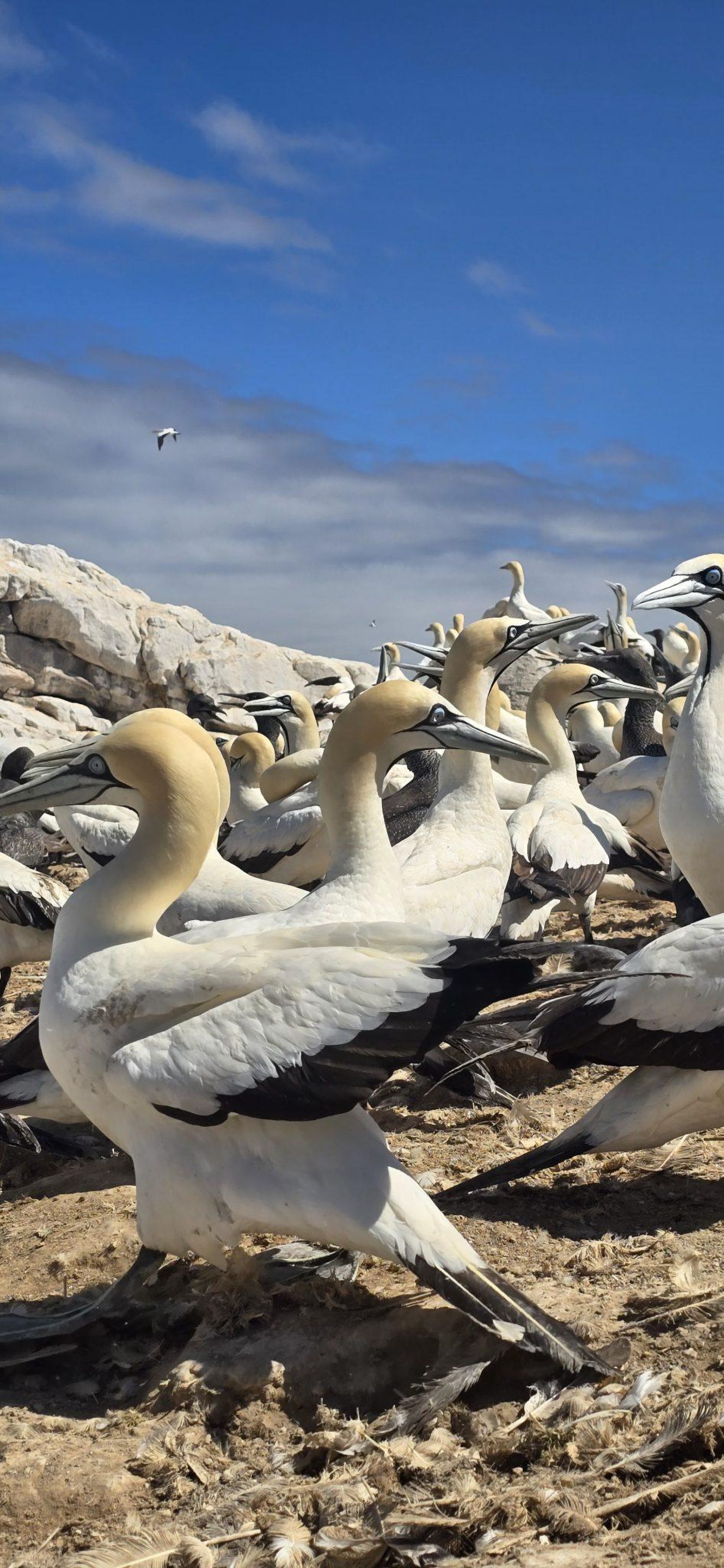 Image related to website content Image related to website content