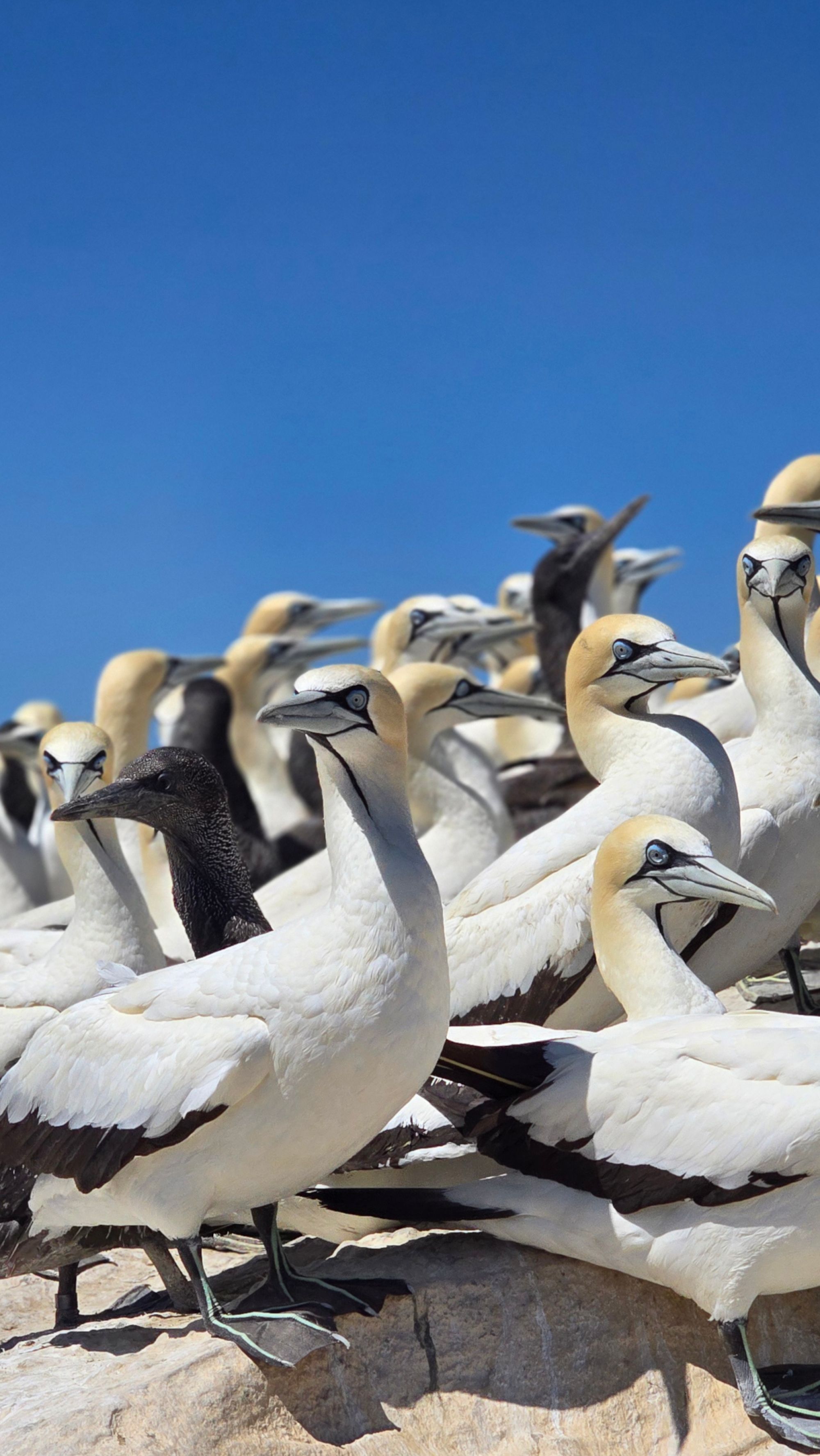 Image related to website content Image related to website content