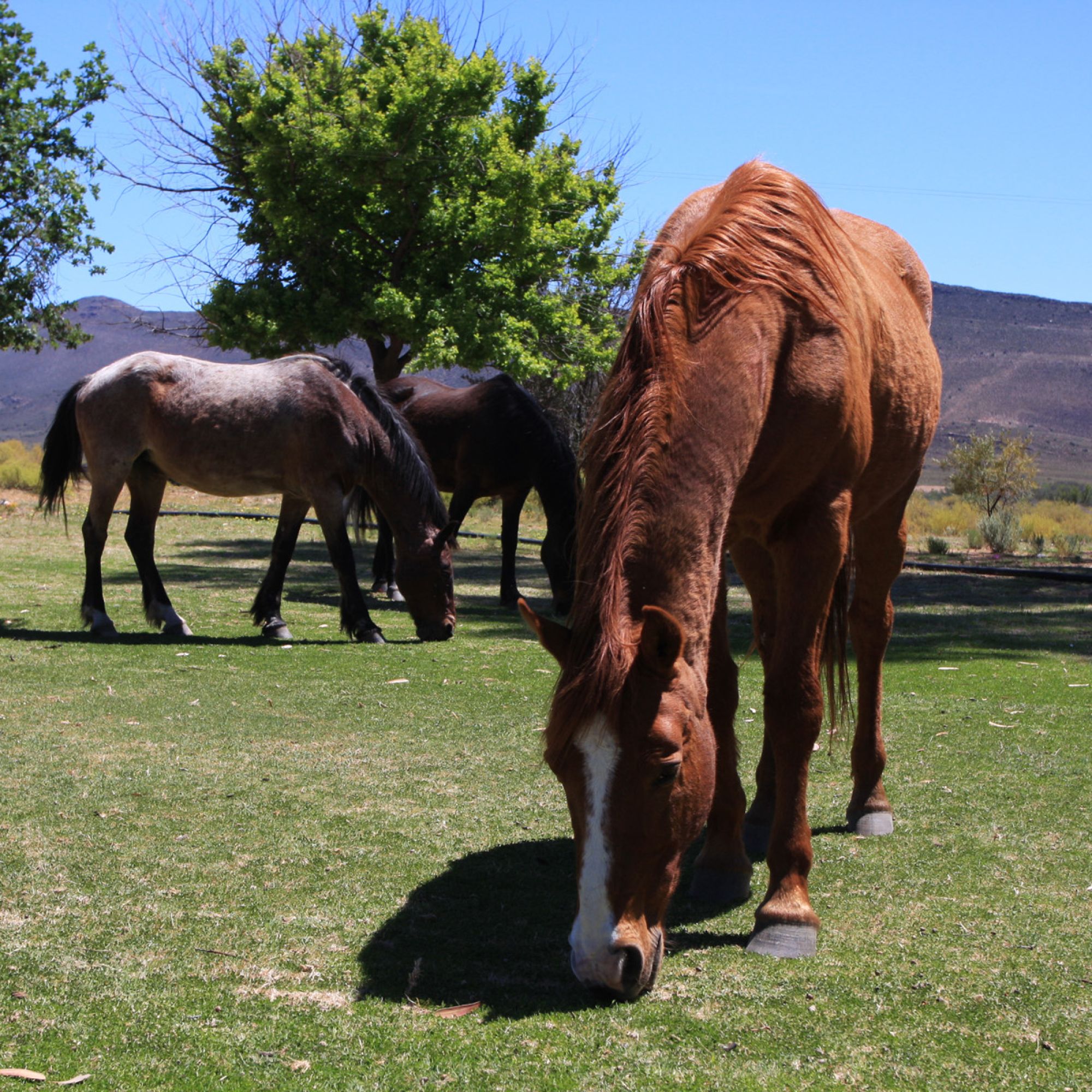 Image related to website content Image related to website content