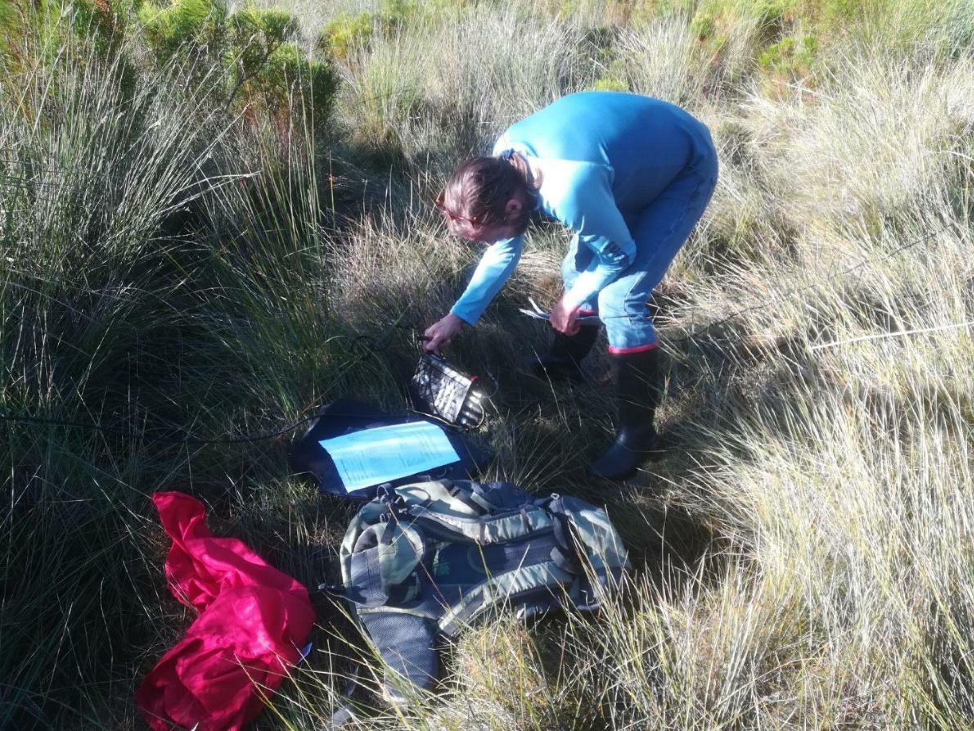 Image related to website content Image related to website content